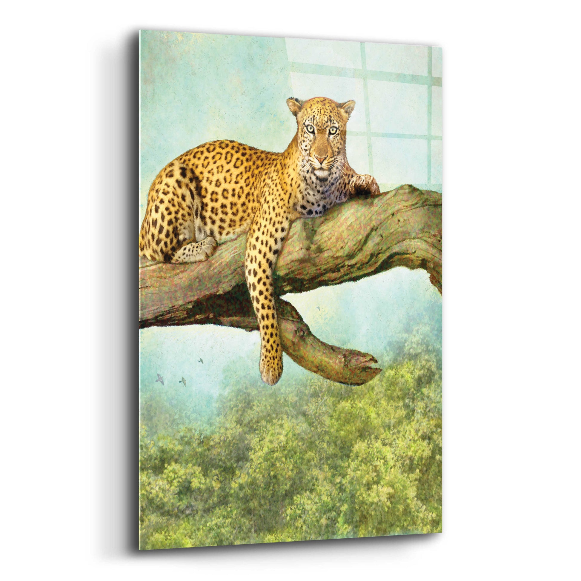 Epic Art 'Queen Of Air Leopard' by Dan Craig, Acrylic Glass Wall Art,12x16