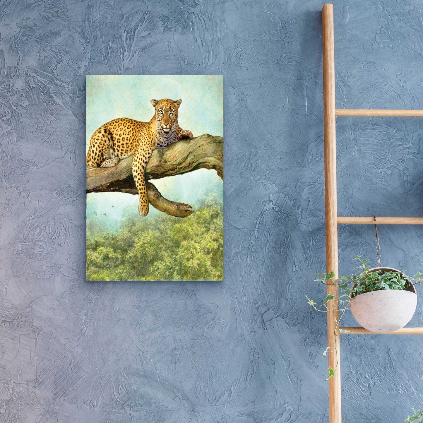 Epic Art 'Queen Of Air Leopard' by Dan Craig, Acrylic Glass Wall Art,16x24