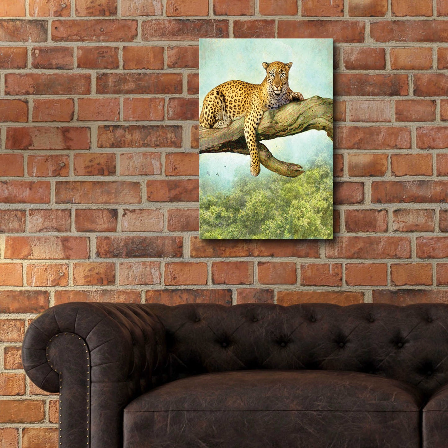 Epic Art 'Queen Of Air Leopard' by Dan Craig, Acrylic Glass Wall Art,16x24