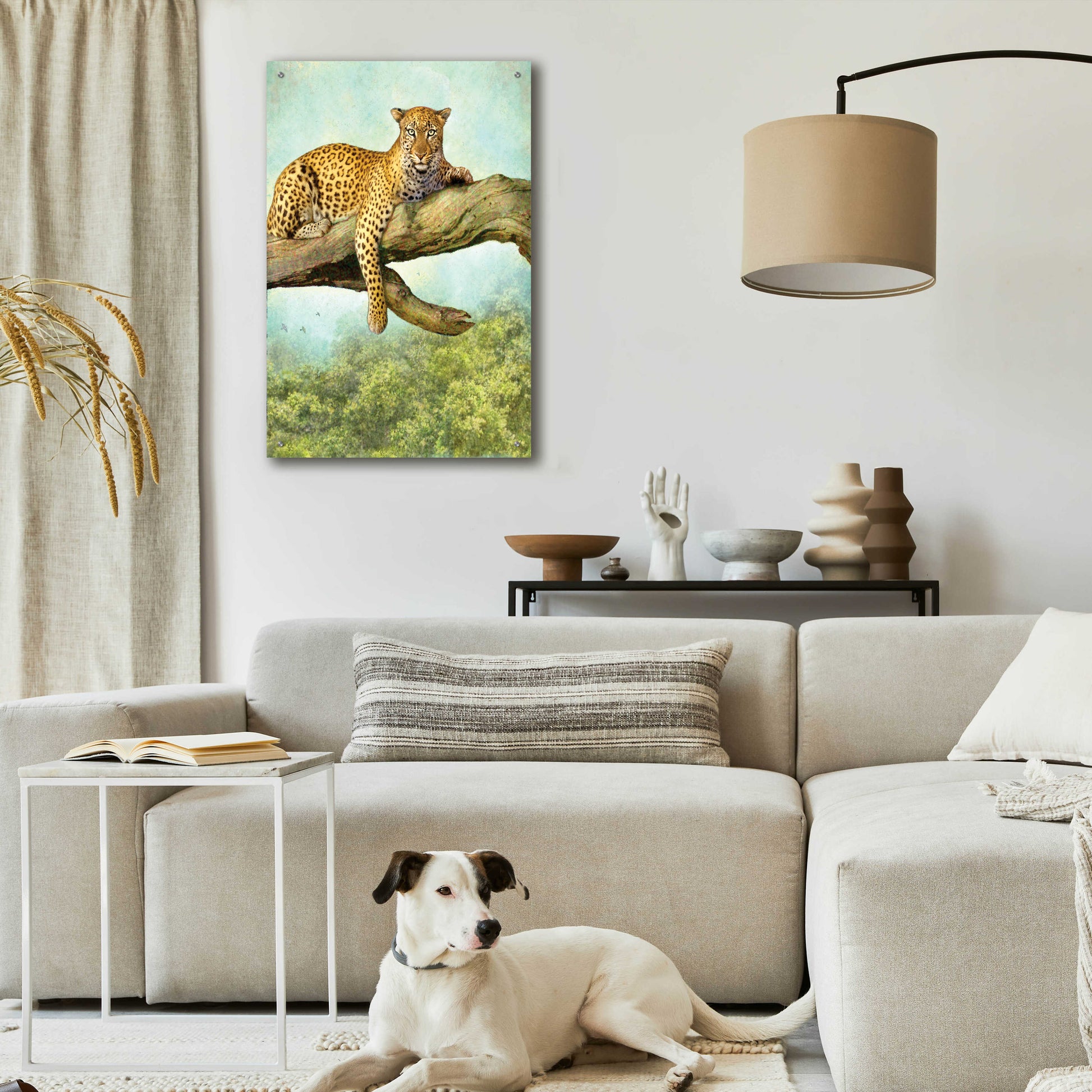 Epic Art 'Queen Of Air Leopard' by Dan Craig, Acrylic Glass Wall Art,24x36