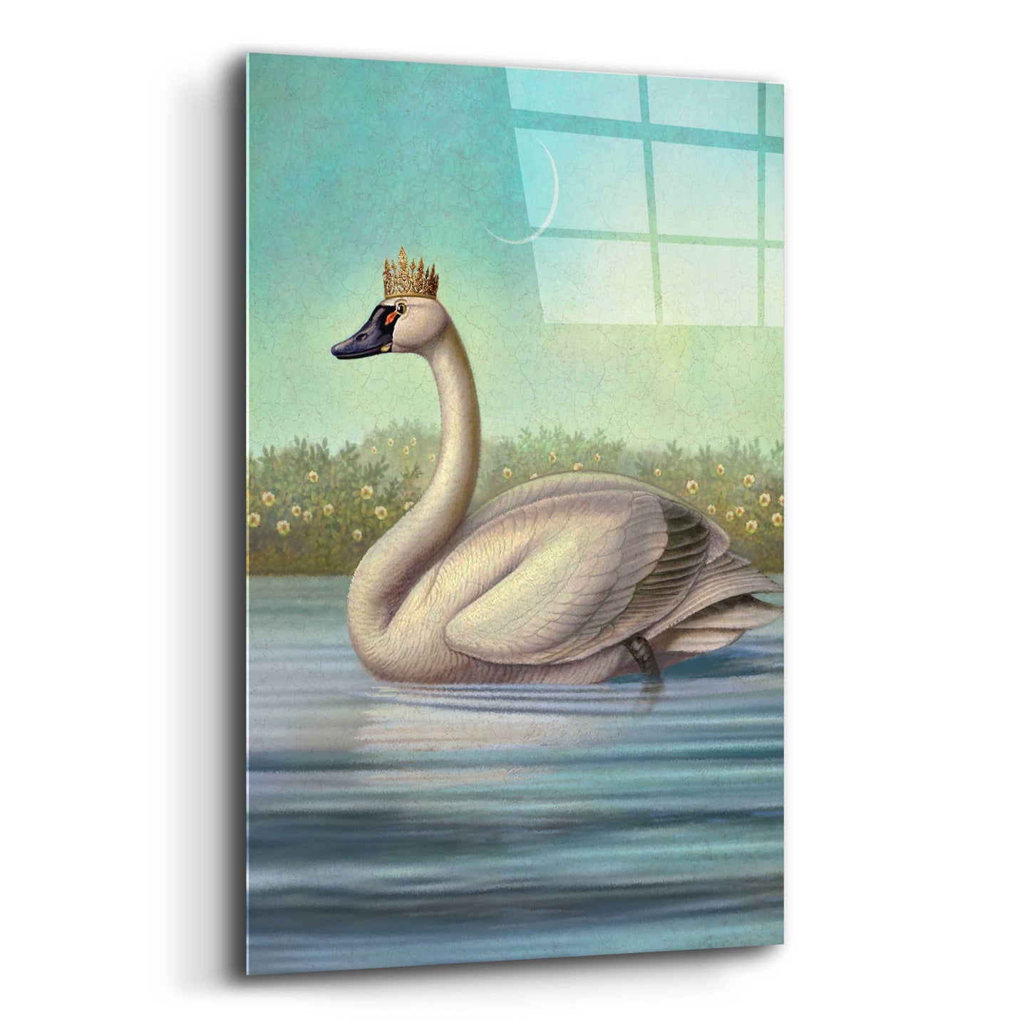 Epic Art 'Queen Of Water Swan' by Dan Craig, Acrylic Glass Wall Art,12x16