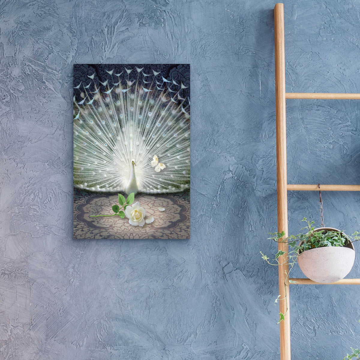 Epic Art 'Release-White Peacock' by Dan Craig, Acrylic Glass Wall Art,16x24