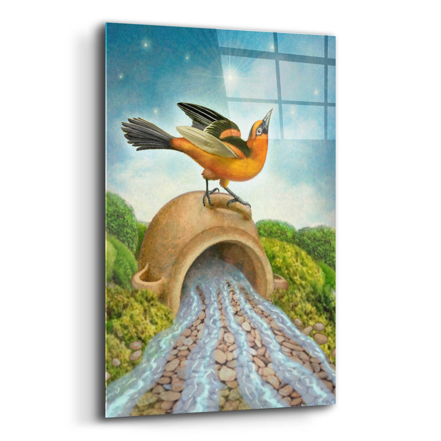 Epic Art 'The Star-Oriole' by Dan Craig, Acrylic Glass Wall Art,12x16