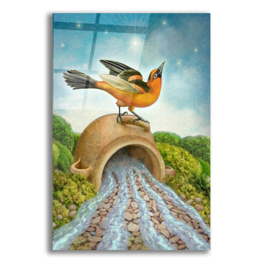 Epic Art 'The Star-Oriole' by Dan Craig, Acrylic Glass Wall Art