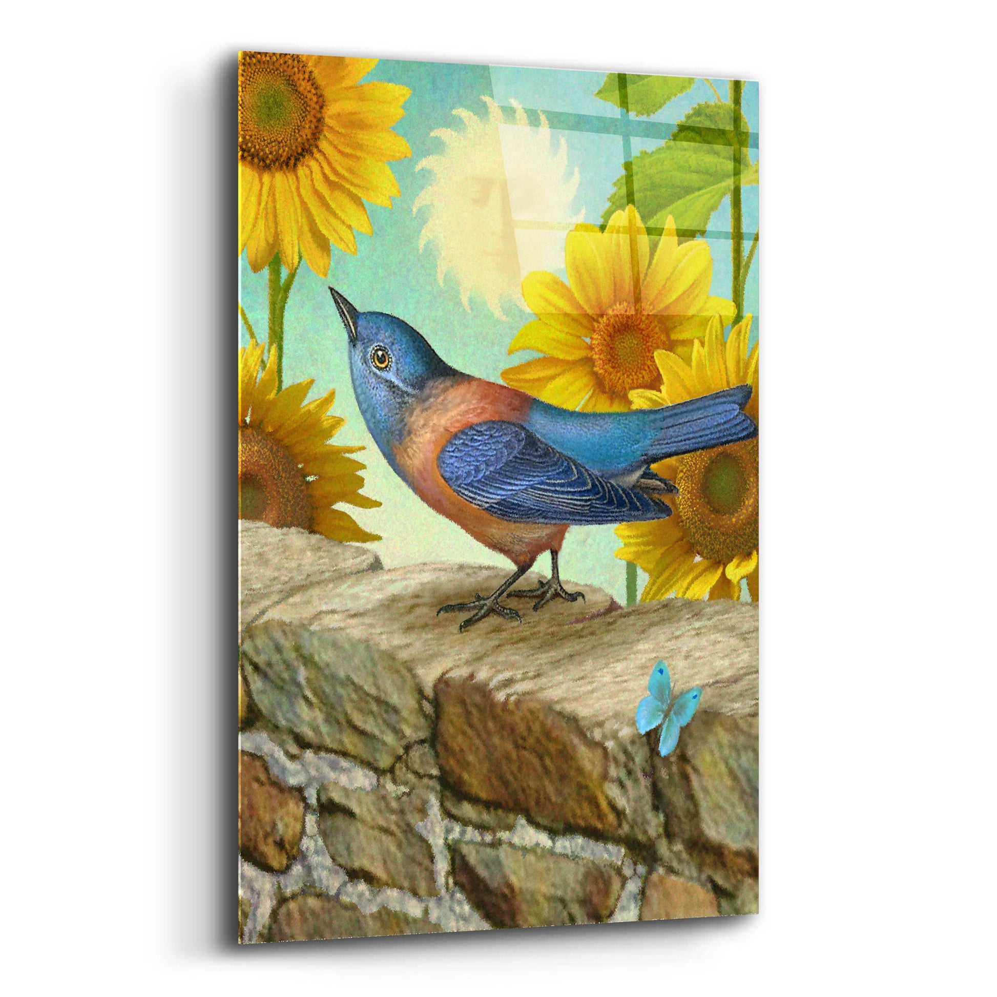 Epic Art 'The Sun-Bluebird' by Dan Craig, Acrylic Glass Wall Art,12x16