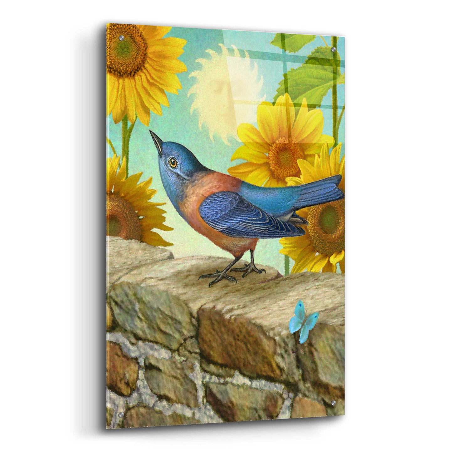 Epic Art 'The Sun-Bluebird' by Dan Craig, Acrylic Glass Wall Art,24x36