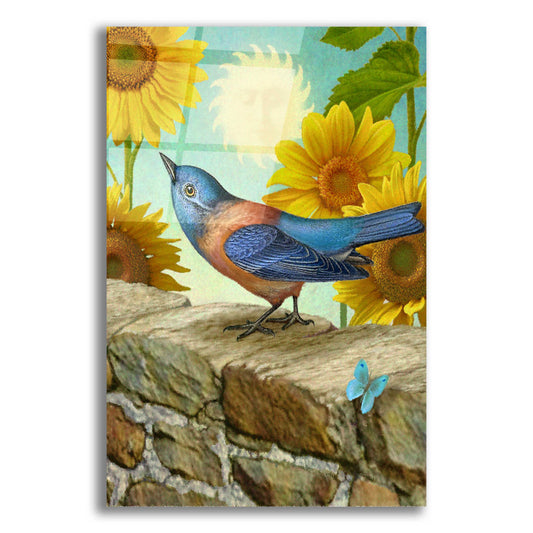 Epic Art 'The Sun-Bluebird' by Dan Craig, Acrylic Glass Wall Art