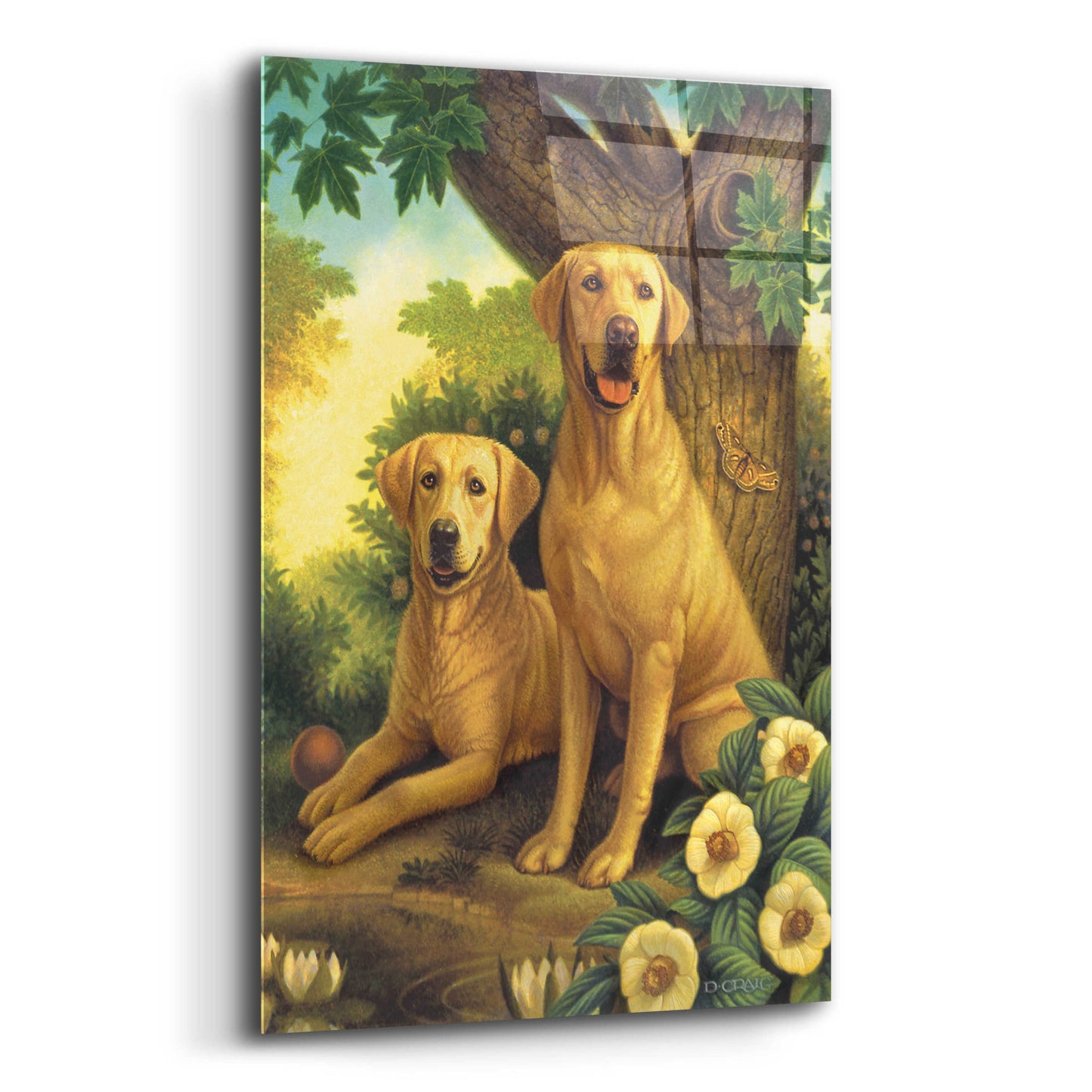 Epic Art 'Yellow Labs' by Dan Craig, Acrylic Glass Wall Art,12x16