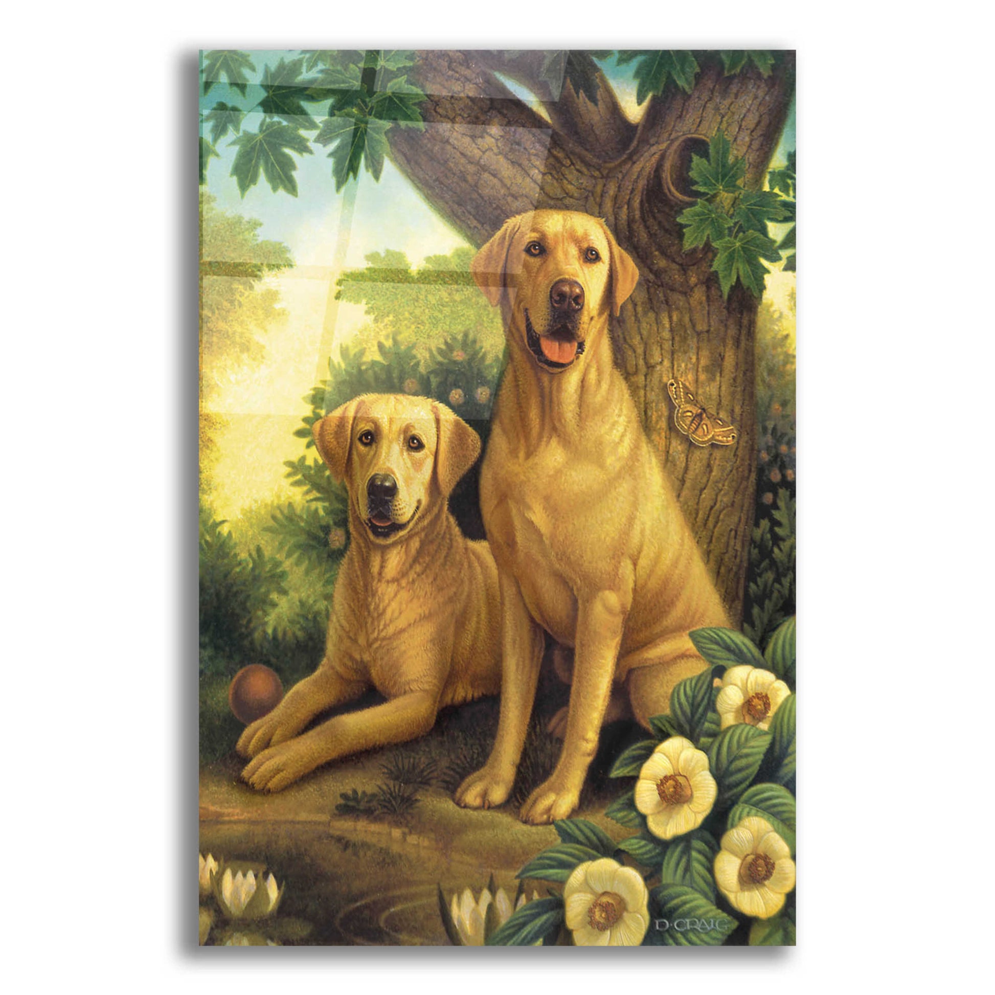 Epic Art 'Yellow Labs' by Dan Craig, Acrylic Glass Wall Art