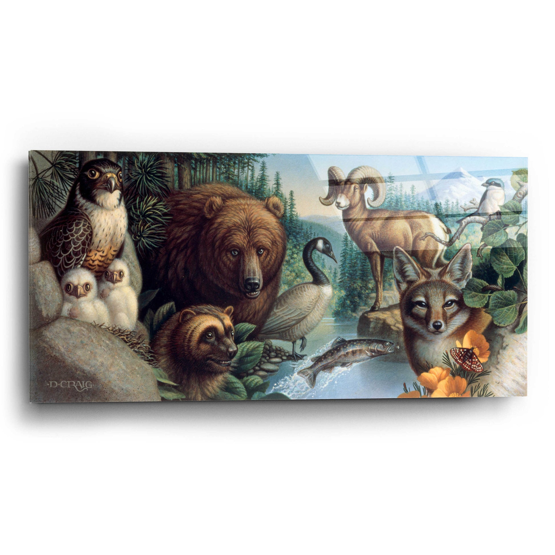 Epic Art '027 Wild Ones' by Dan Craig, Acrylic Glass Wall Art,24x12