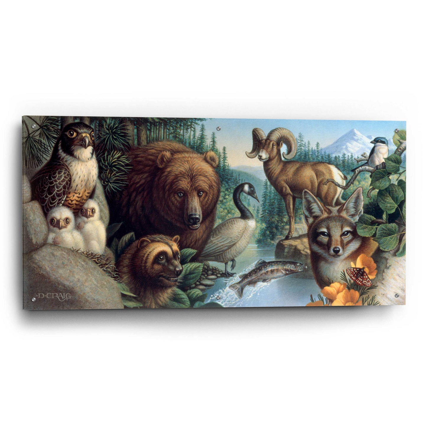 Epic Art '027 Wild Ones' by Dan Craig, Acrylic Glass Wall Art,48x24