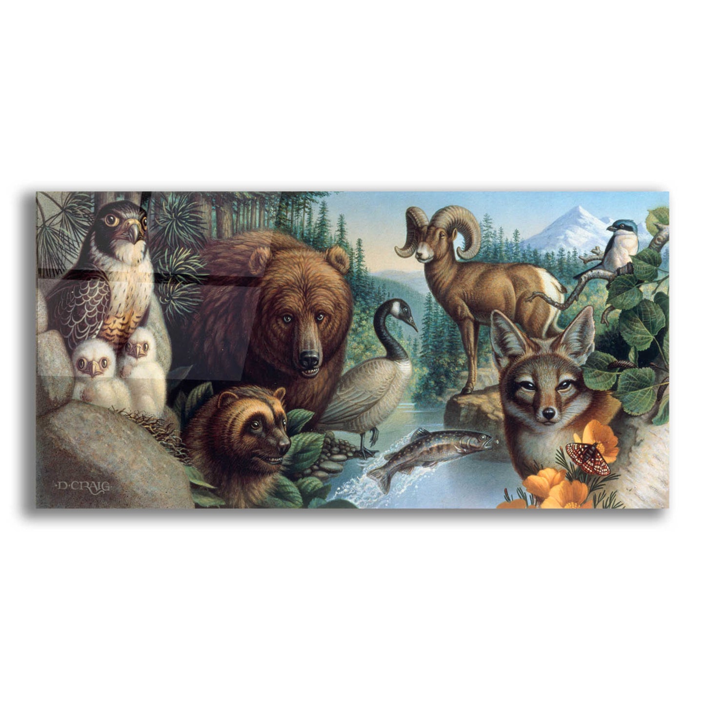 Epic Art '027 Wild Ones' by Dan Craig, Acrylic Glass Wall Art