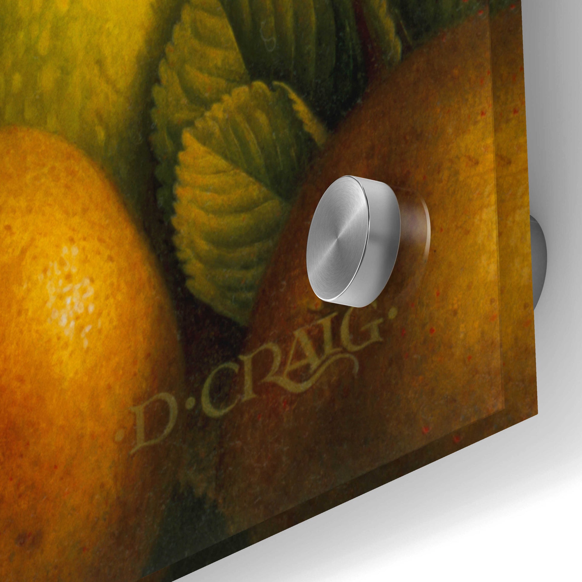 Epic Art '040 Country Fruit' by Dan Craig, Acrylic Glass Wall Art,36x36