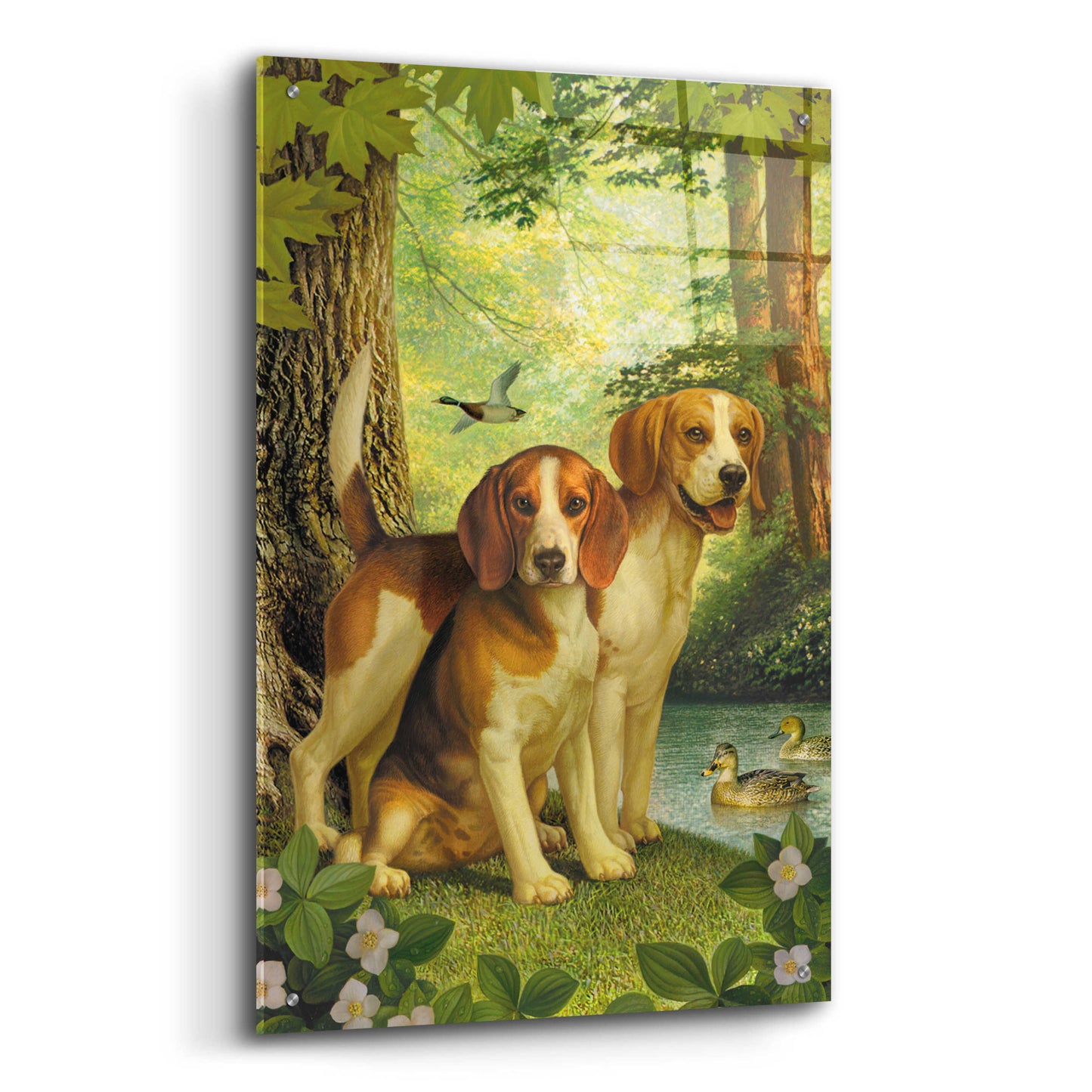 Epic Art 'Beagles And Duck' by Dan Craig, Acrylic Glass Wall Art,24x36