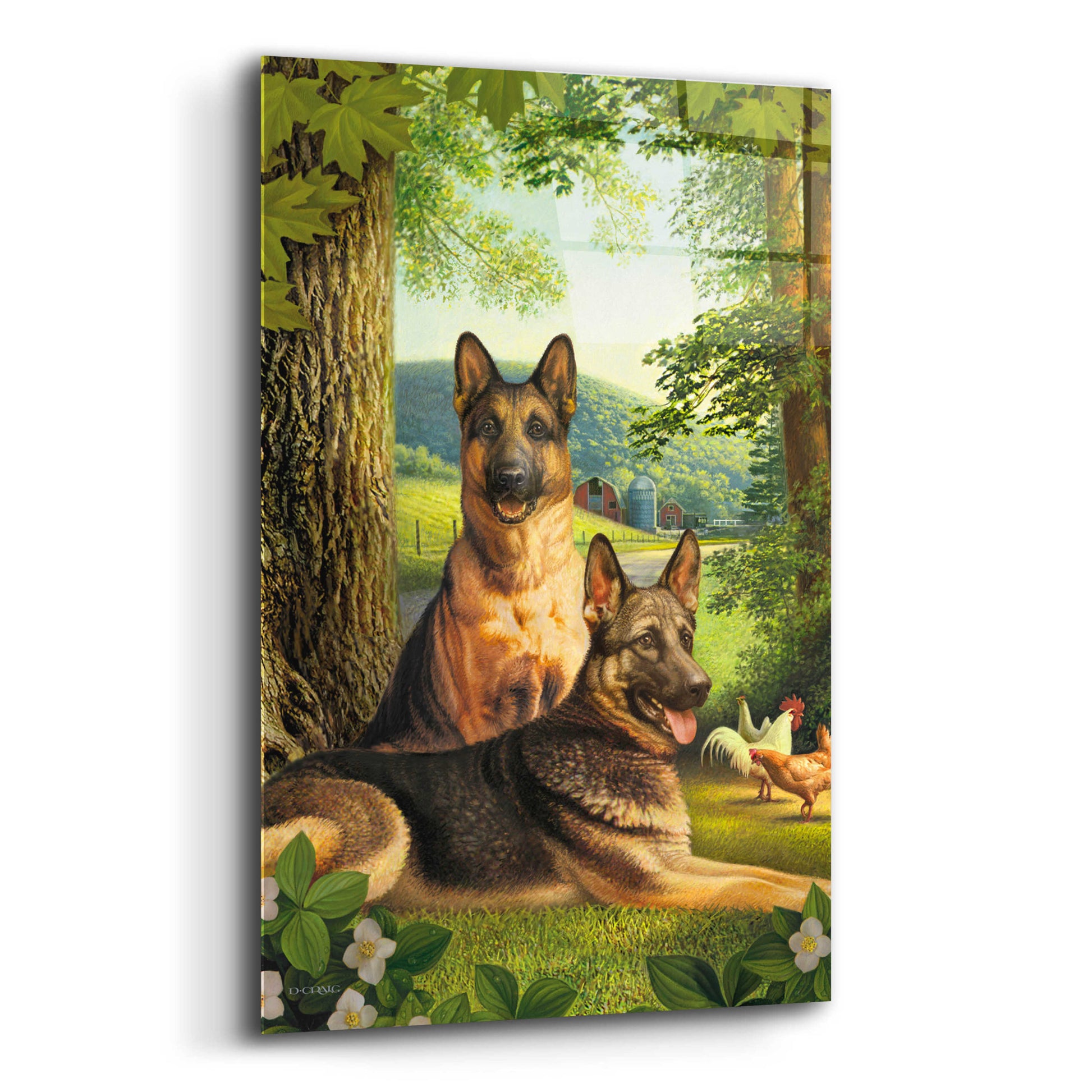 Epic Art 'German Shephards & Chicken' by Dan Craig, Acrylic Glass Wall Art,12x16