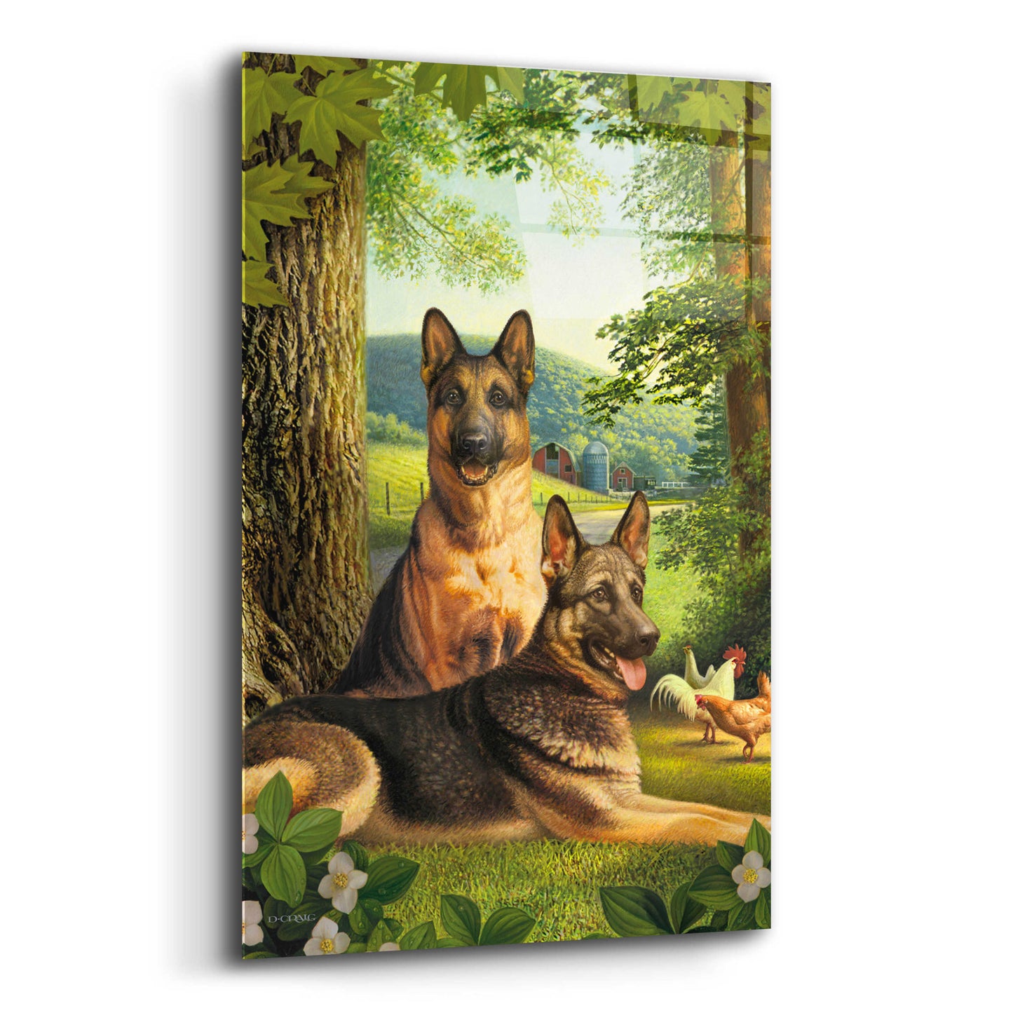 Epic Art 'German Shephards & Chicken' by Dan Craig, Acrylic Glass Wall Art,16x24