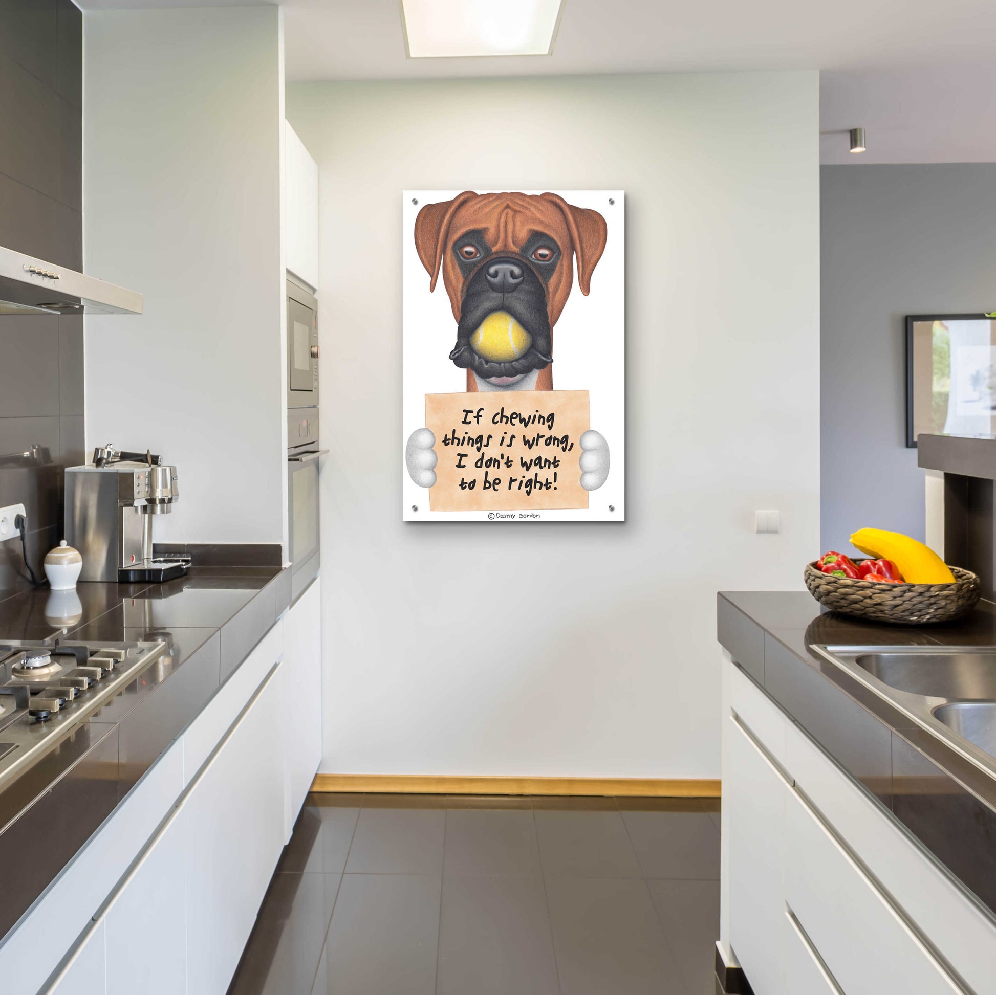 Epic Art 'Boxer Tennis Ball in Mouth' by Danny Gordon Art, Acrylic Glass Wall Art,24x36