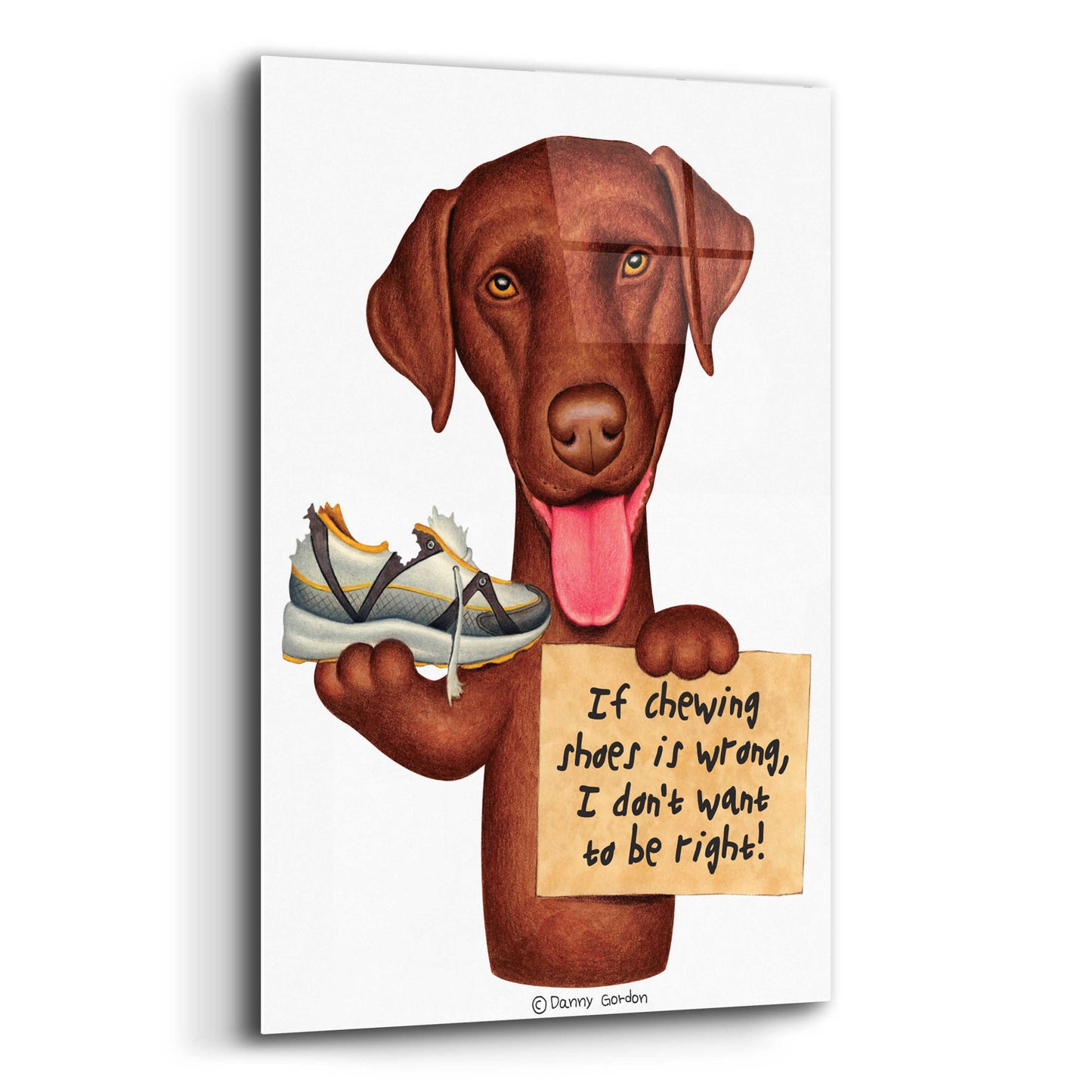 Epic Art 'Chocolate Lab Holding Sneaker' by Danny Gordon Art, Acrylic Glass Wall Art,12x16