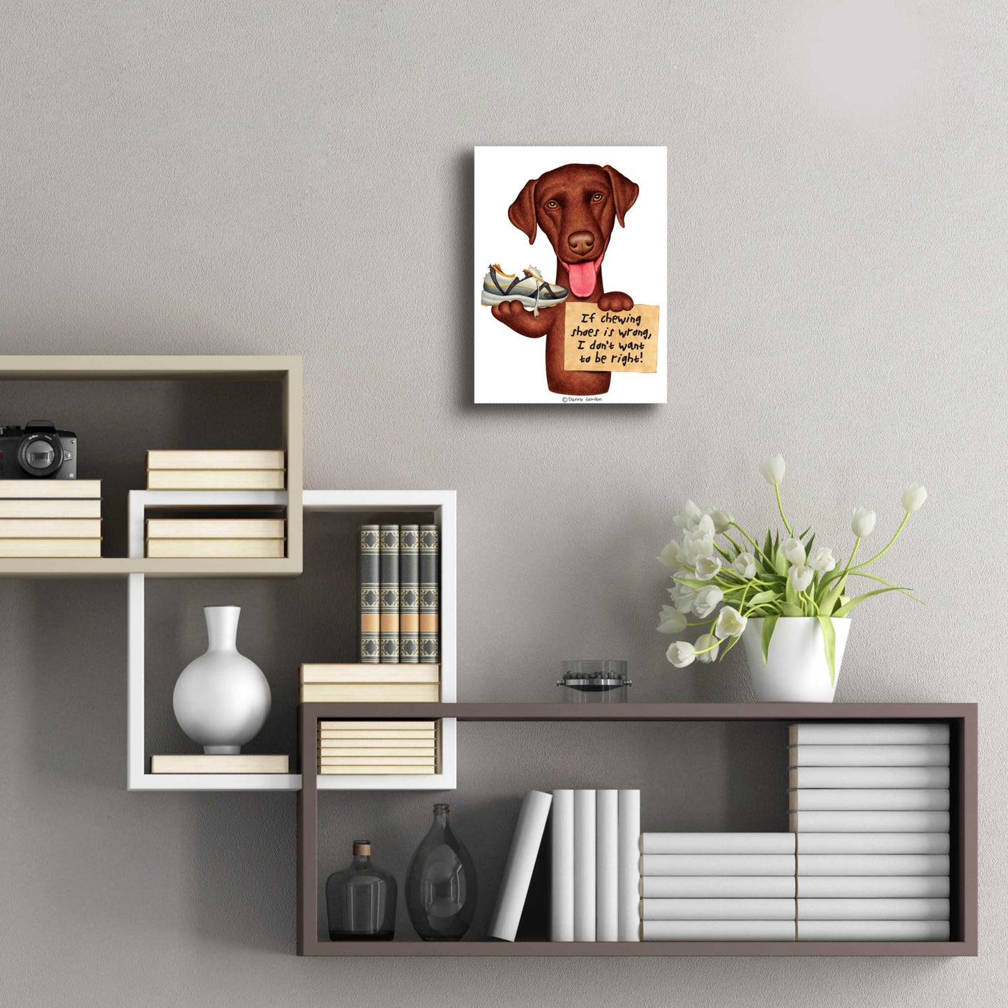 Epic Art 'Chocolate Lab Holding Sneaker' by Danny Gordon Art, Acrylic Glass Wall Art,12x16