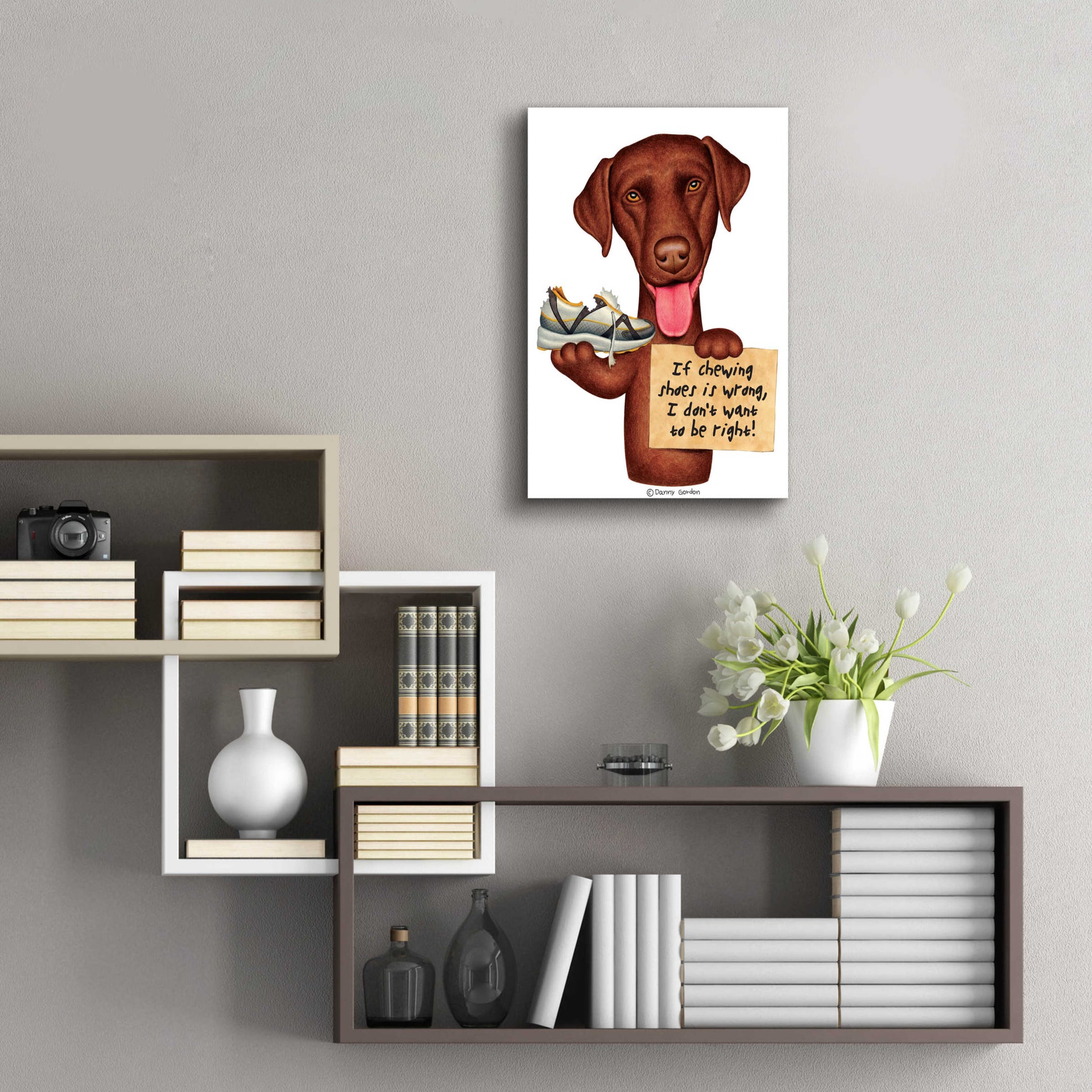 Epic Art 'Chocolate Lab Holding Sneaker' by Danny Gordon Art, Acrylic Glass Wall Art,16x24