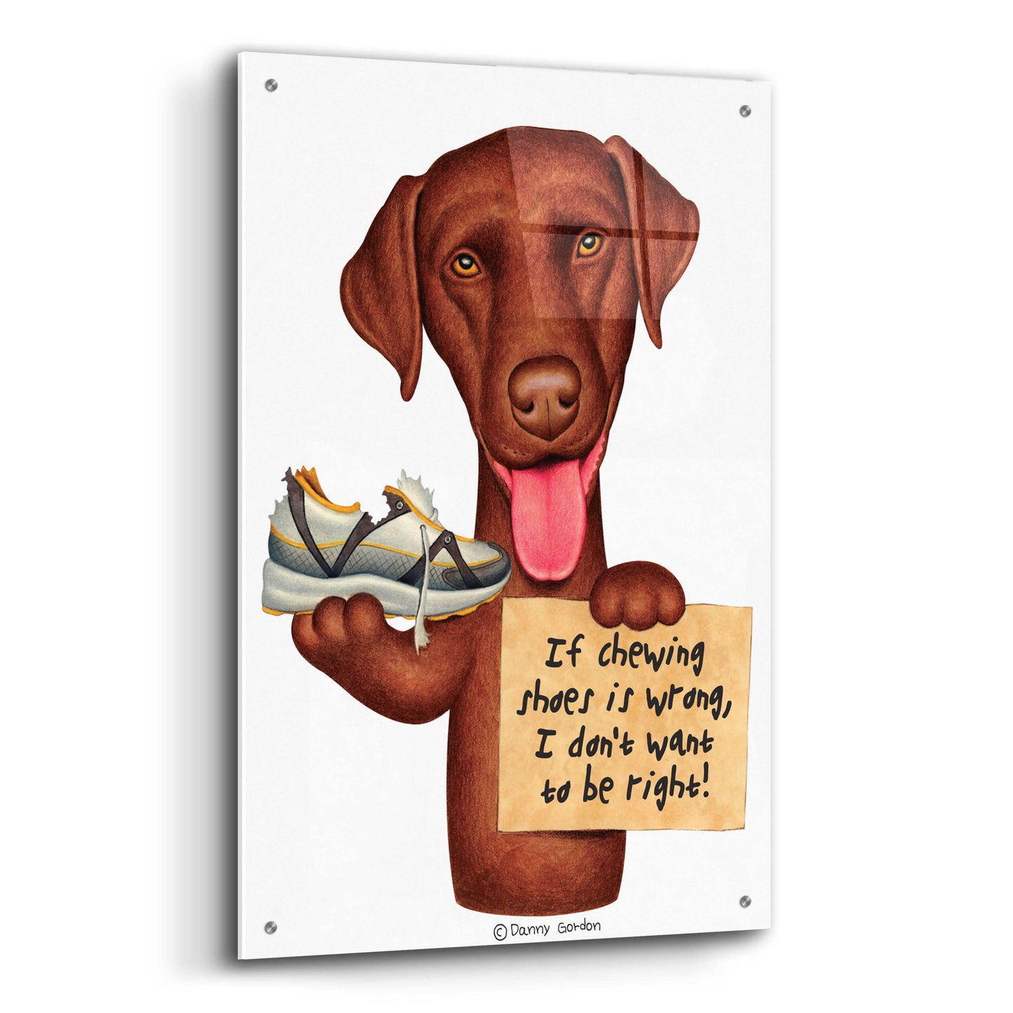 Epic Art 'Chocolate Lab Holding Sneaker' by Danny Gordon Art, Acrylic Glass Wall Art,24x36