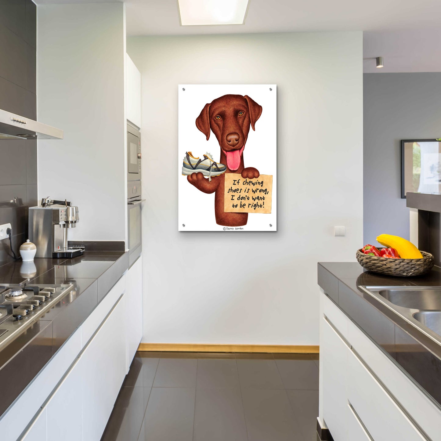 Epic Art 'Chocolate Lab Holding Sneaker' by Danny Gordon Art, Acrylic Glass Wall Art,24x36