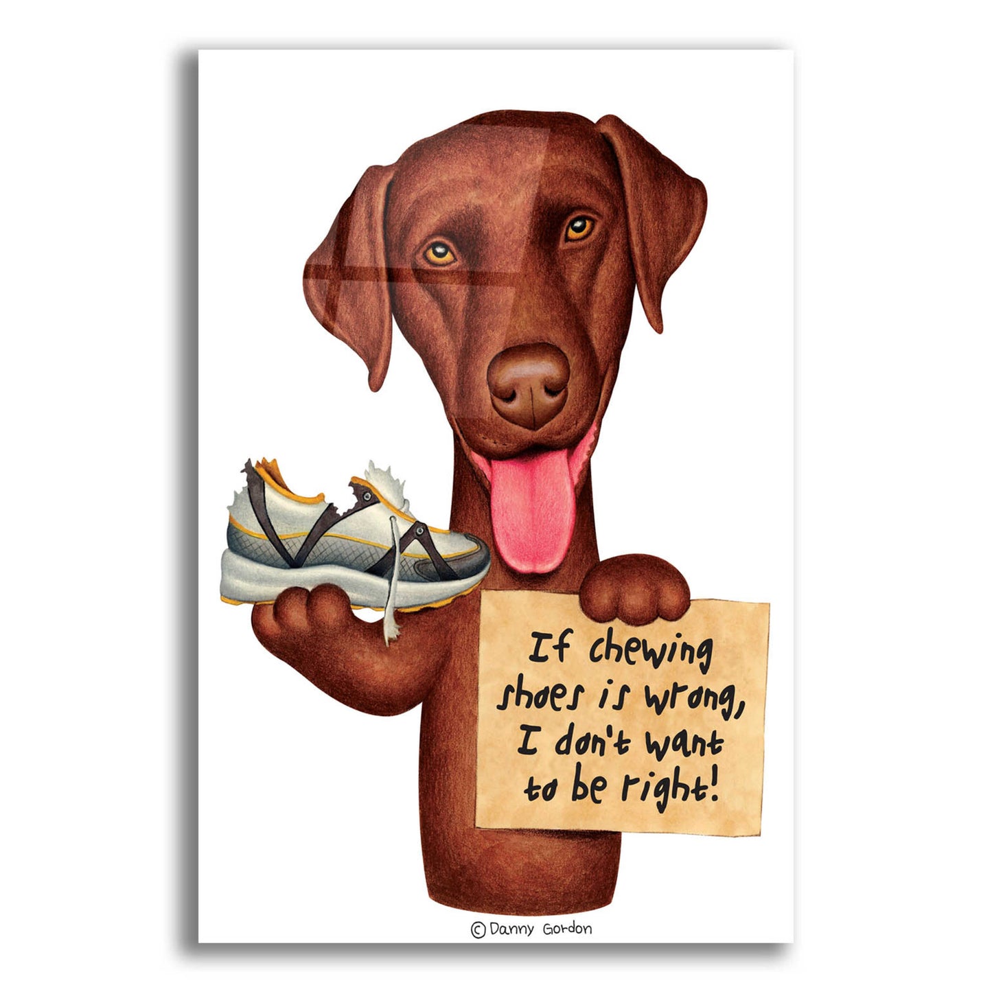 Epic Art 'Chocolate Lab Holding Sneaker' by Danny Gordon Art, Acrylic Glass Wall Art