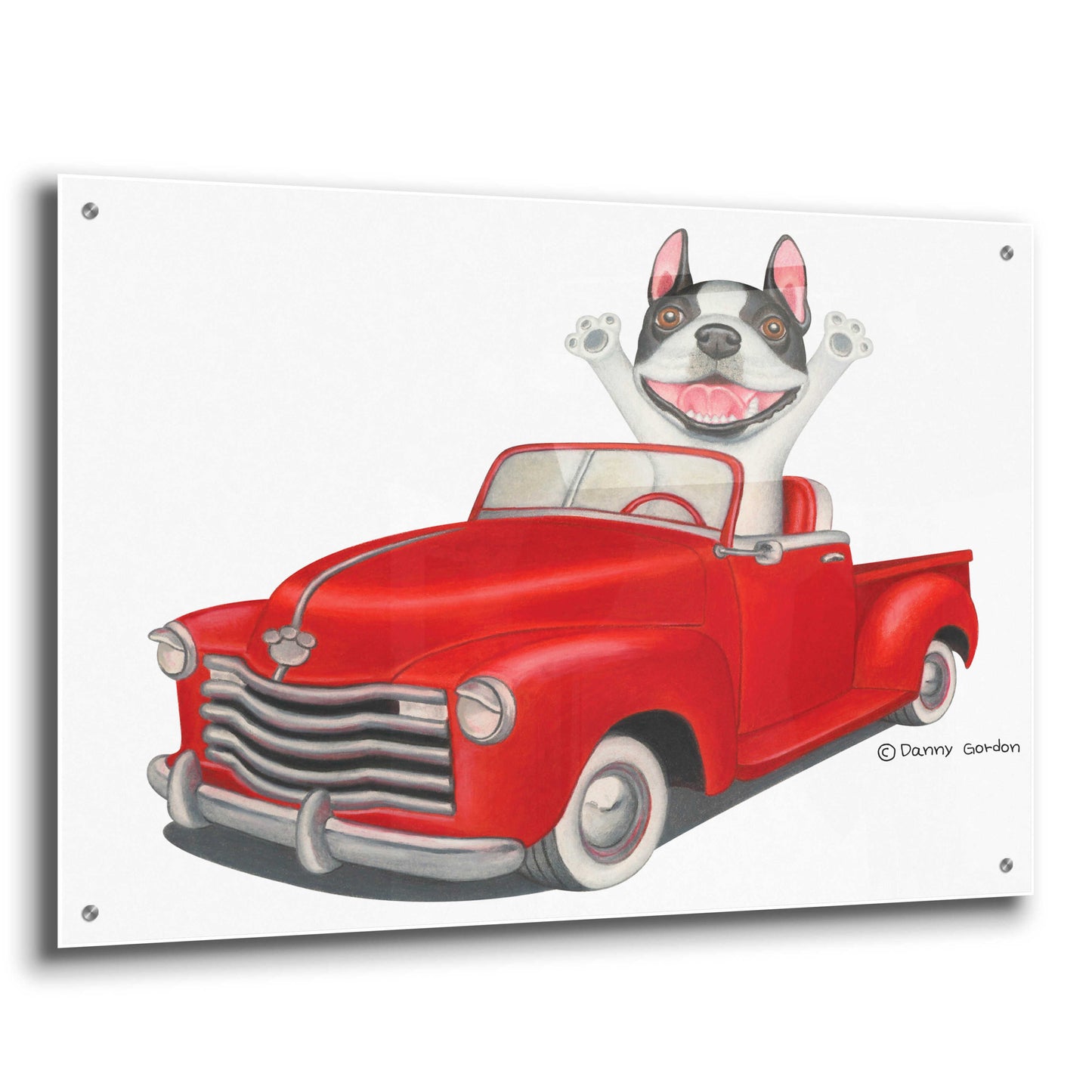 Epic Art 'Happy Boston Terrier in Red Truck' by Danny Gordon Art, Acrylic Glass Wall Art,36x24