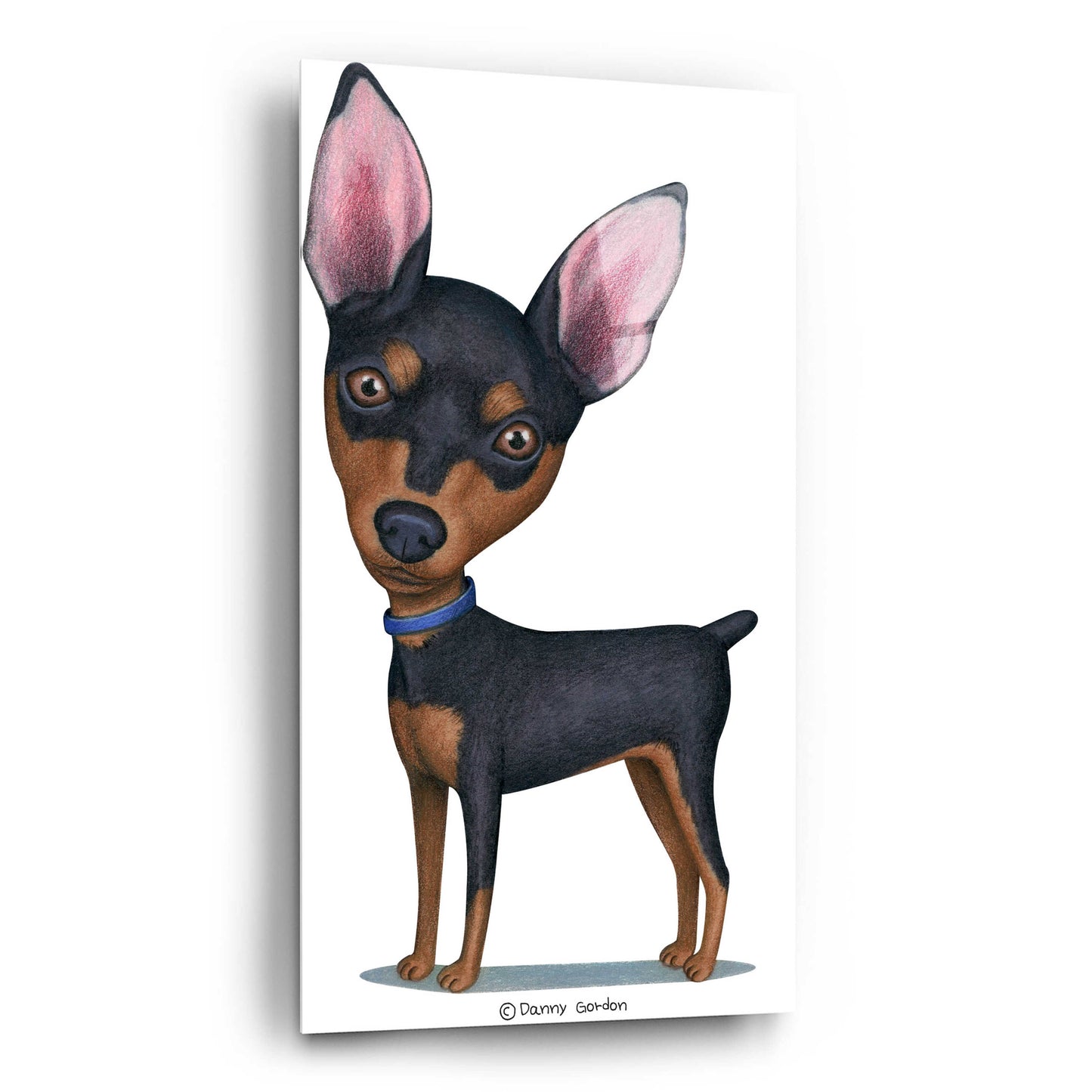 Epic Art 'Miniature Pinscher Blue Collar' by Danny Gordon Art, Acrylic Glass Wall Art,12x24