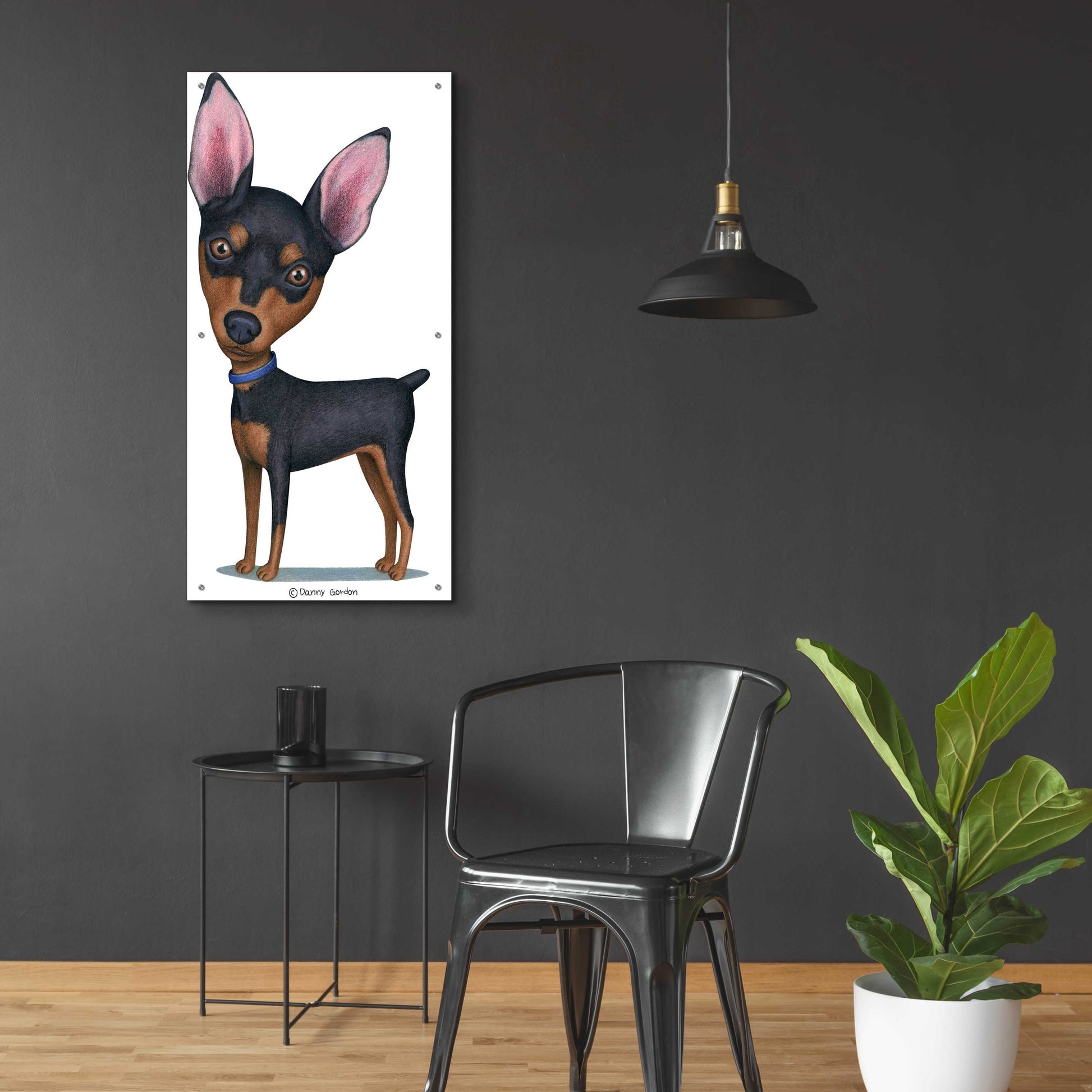 Epic Art 'Miniature Pinscher Blue Collar' by Danny Gordon Art, Acrylic Glass Wall Art,24x48