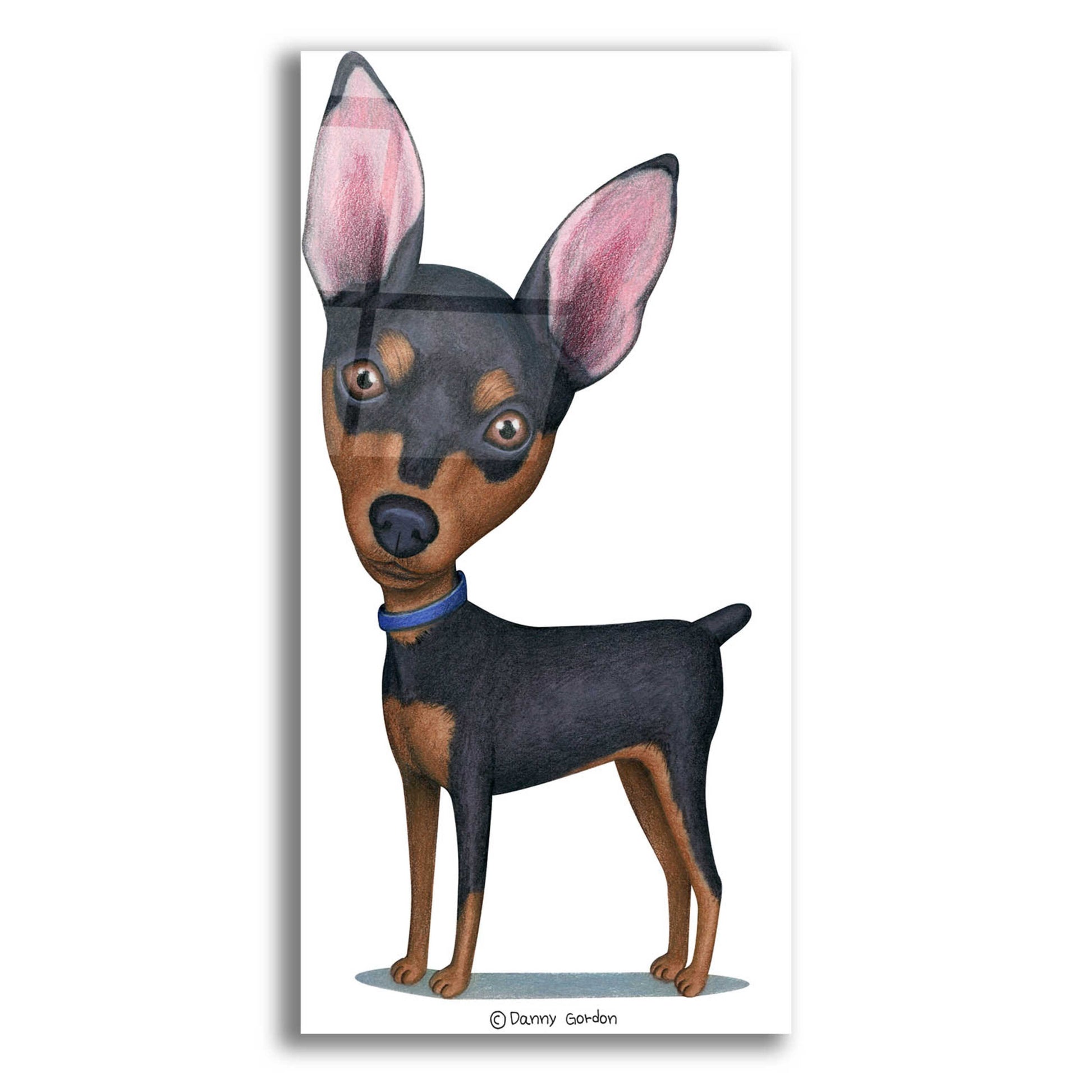 Epic Art 'Miniature Pinscher Blue Collar' by Danny Gordon Art, Acrylic Glass Wall Art