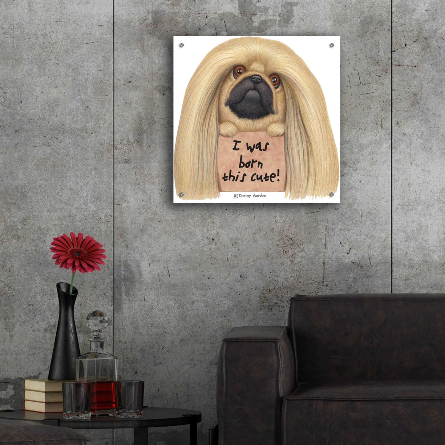 Epic Art 'Pekingese with Sign Born Cute' by Danny Gordon Art, Acrylic Glass Wall Art,24x24