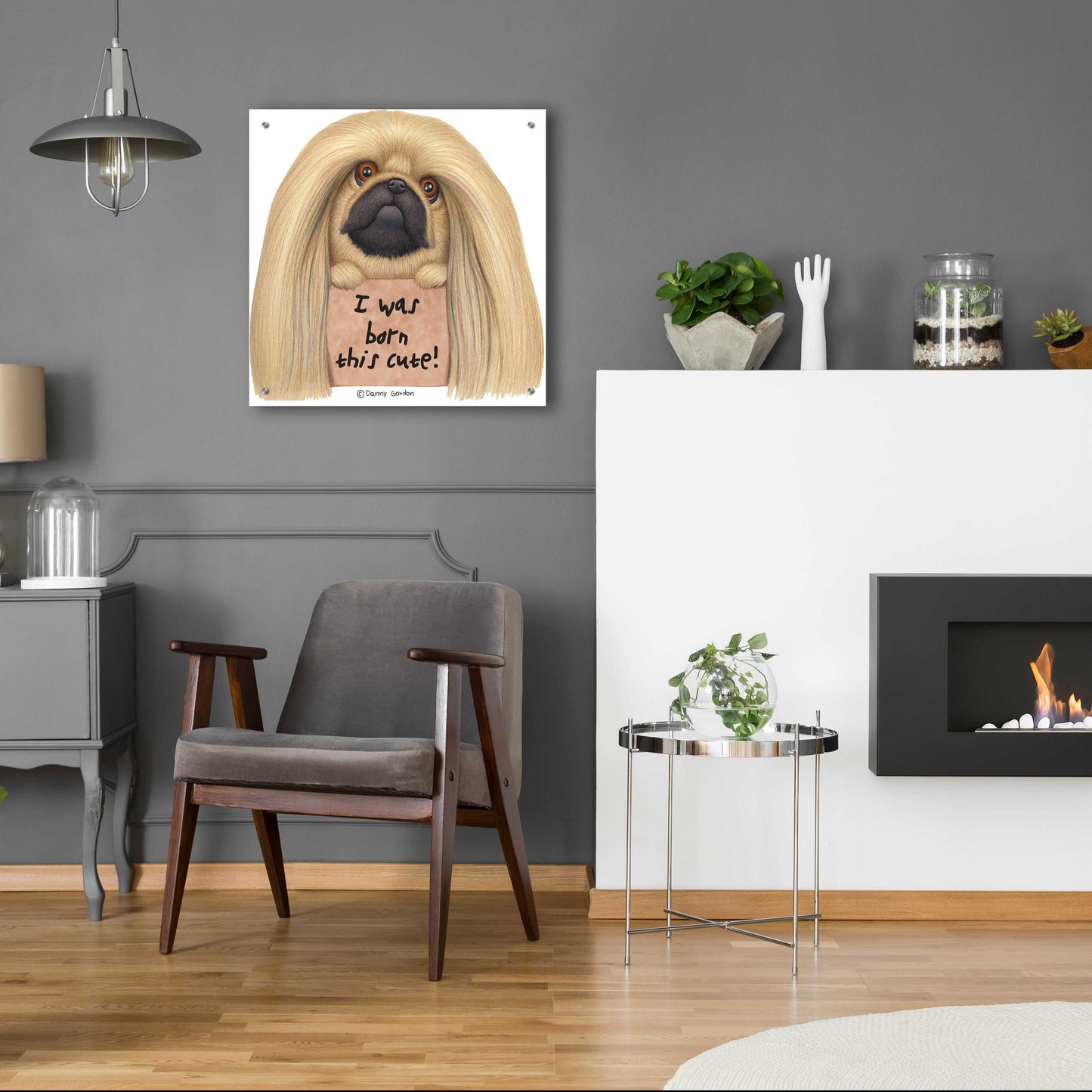 Epic Art 'Pekingese with Sign Born Cute' by Danny Gordon Art, Acrylic Glass Wall Art,24x24