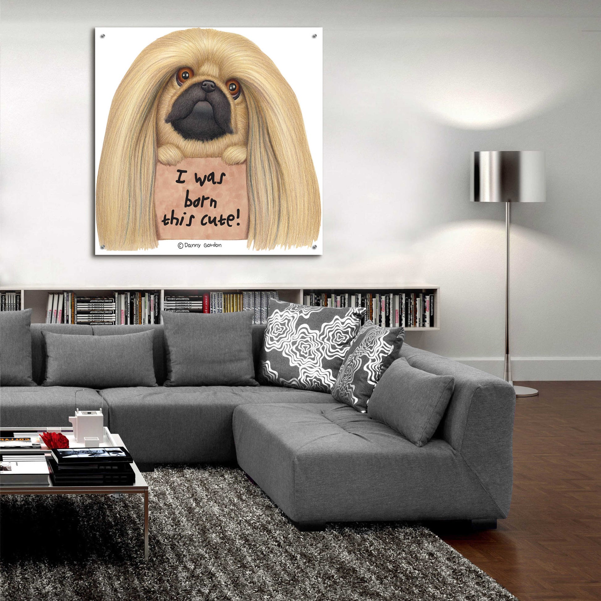 Epic Art 'Pekingese with Sign Born Cute' by Danny Gordon Art, Acrylic Glass Wall Art,36x36