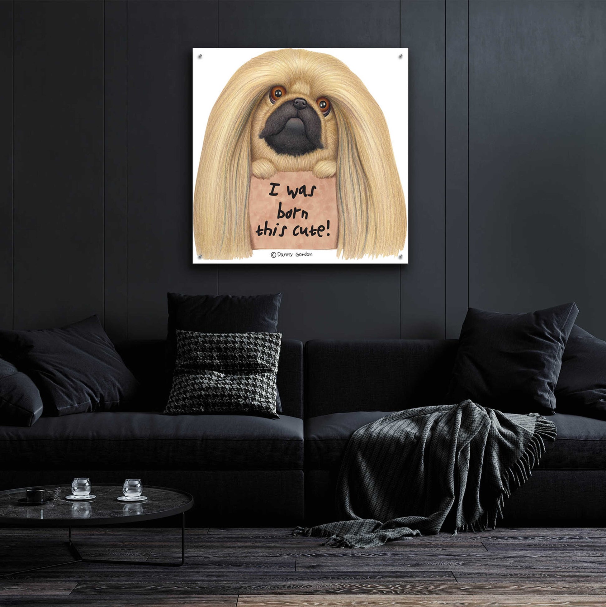 Epic Art 'Pekingese with Sign Born Cute' by Danny Gordon Art, Acrylic Glass Wall Art,36x36