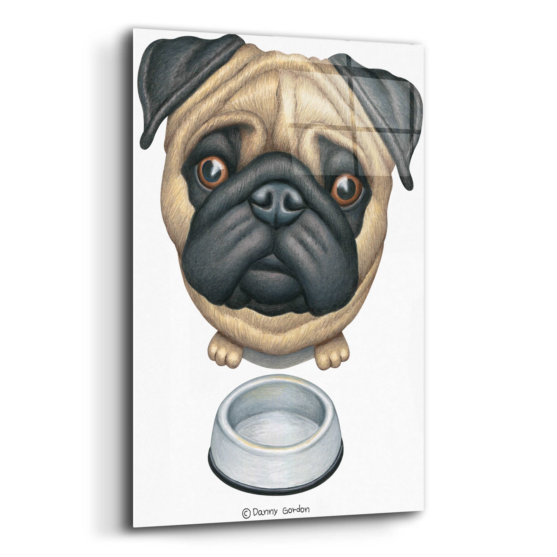 Epic Art 'Pug and Bowl Upper Perspective' by Danny Gordon Art, Acrylic Glass Wall Art,12x16