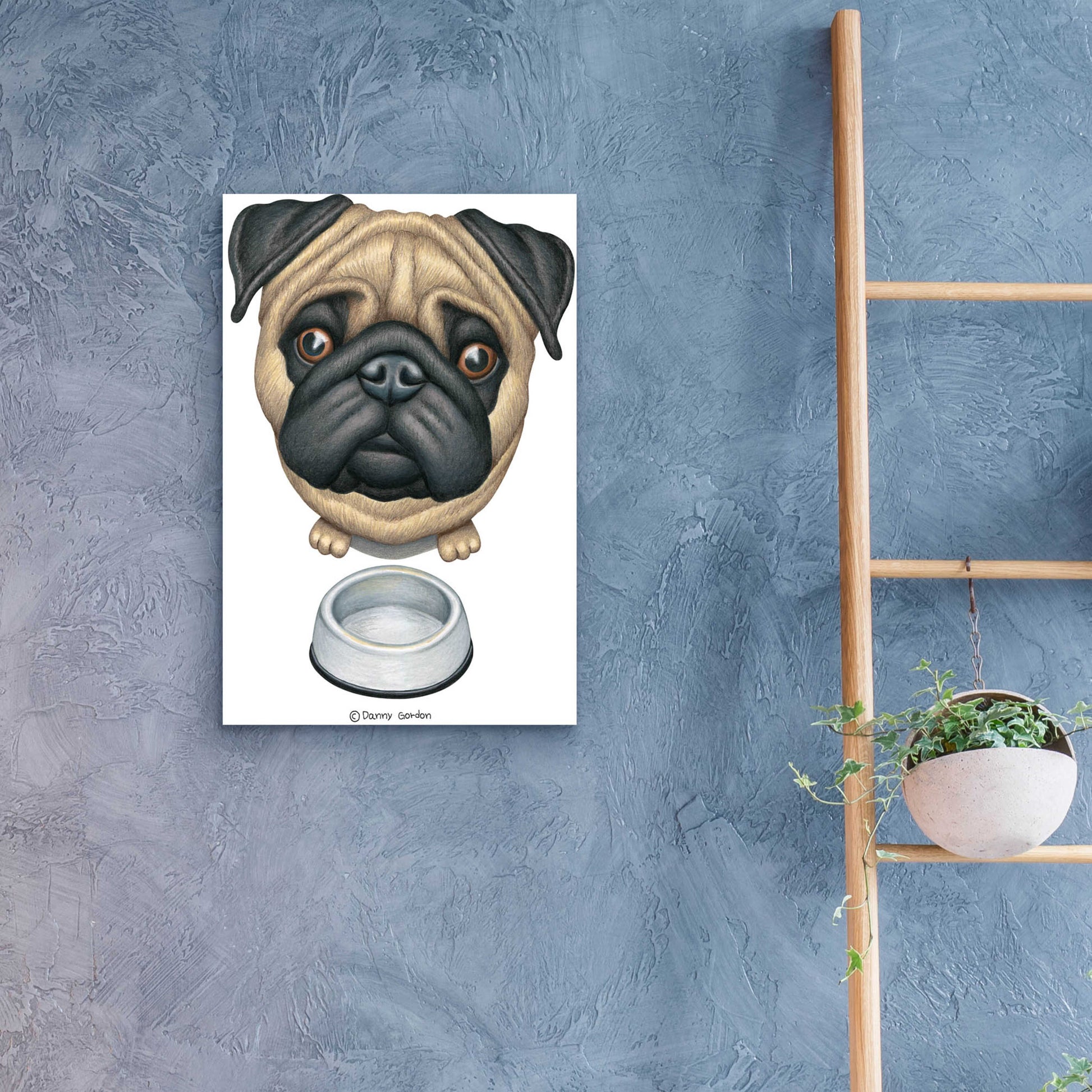 Epic Art 'Pug and Bowl Upper Perspective' by Danny Gordon Art, Acrylic Glass Wall Art,16x24