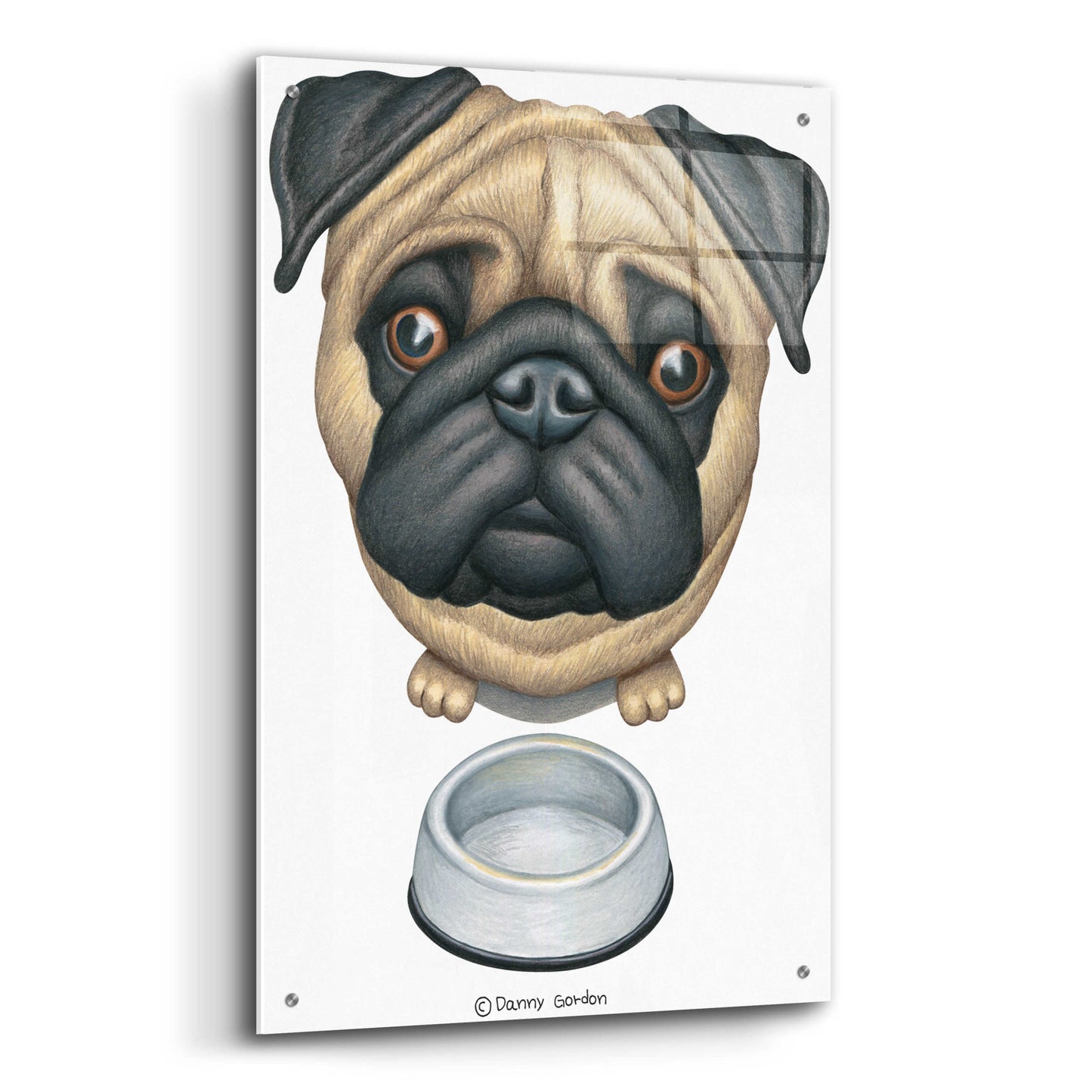 Epic Art 'Pug and Bowl Upper Perspective' by Danny Gordon Art, Acrylic Glass Wall Art,24x36