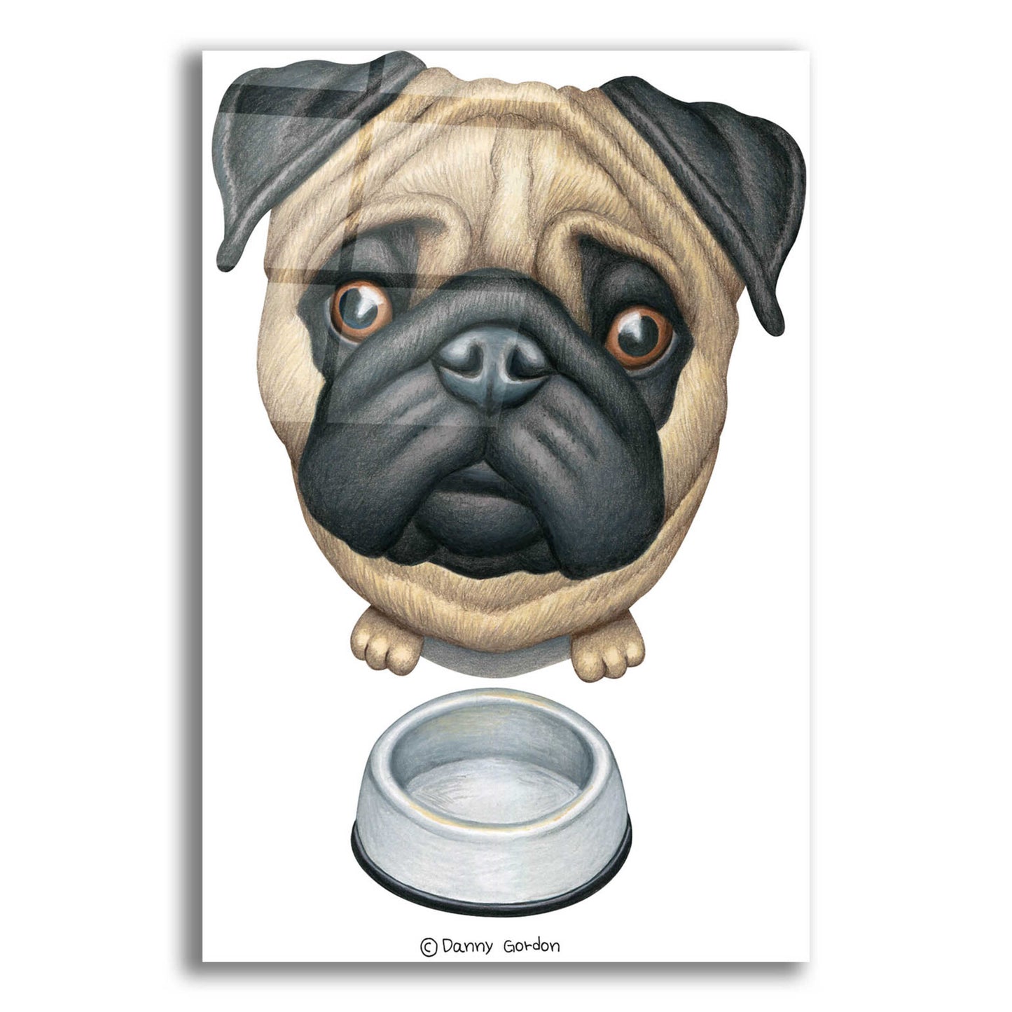 Epic Art 'Pug and Bowl Upper Perspective' by Danny Gordon Art, Acrylic Glass Wall Art