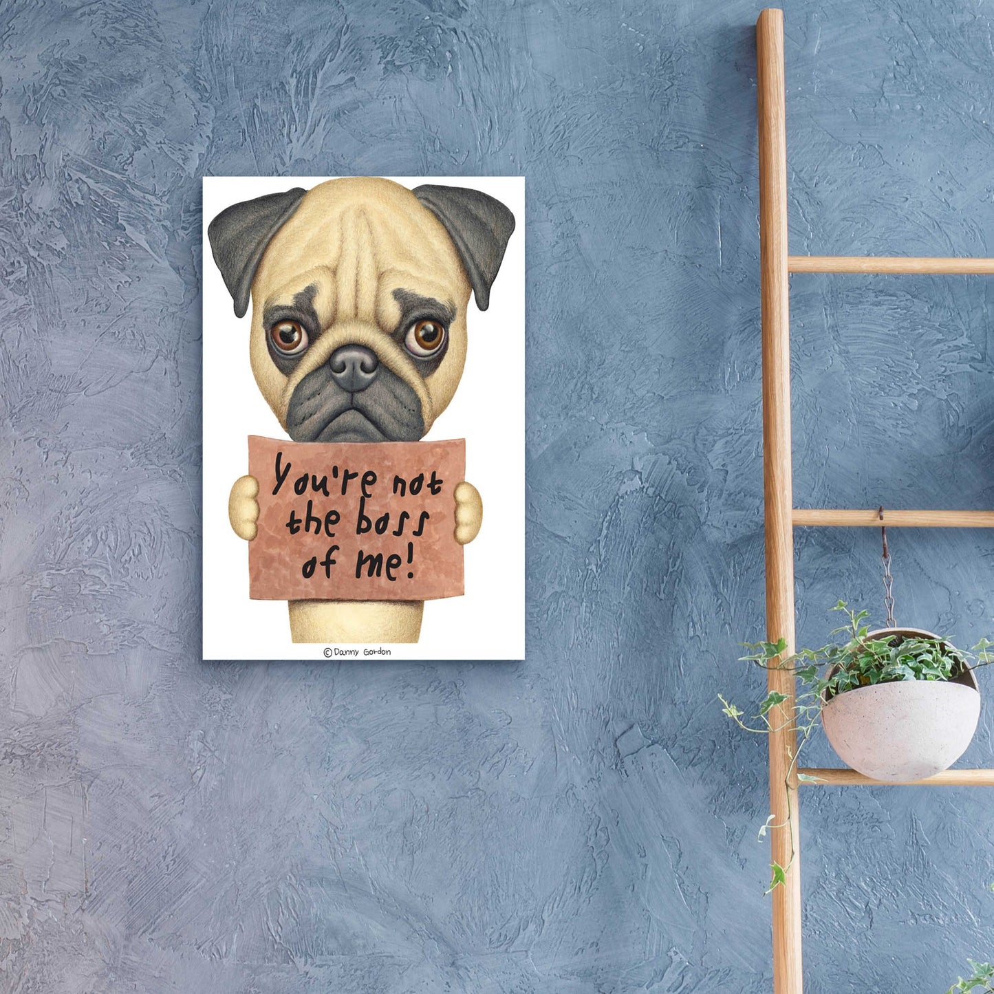 Epic Art 'Pug You're Not the Boss' by Danny Gordon Art, Acrylic Glass Wall Art,16x24