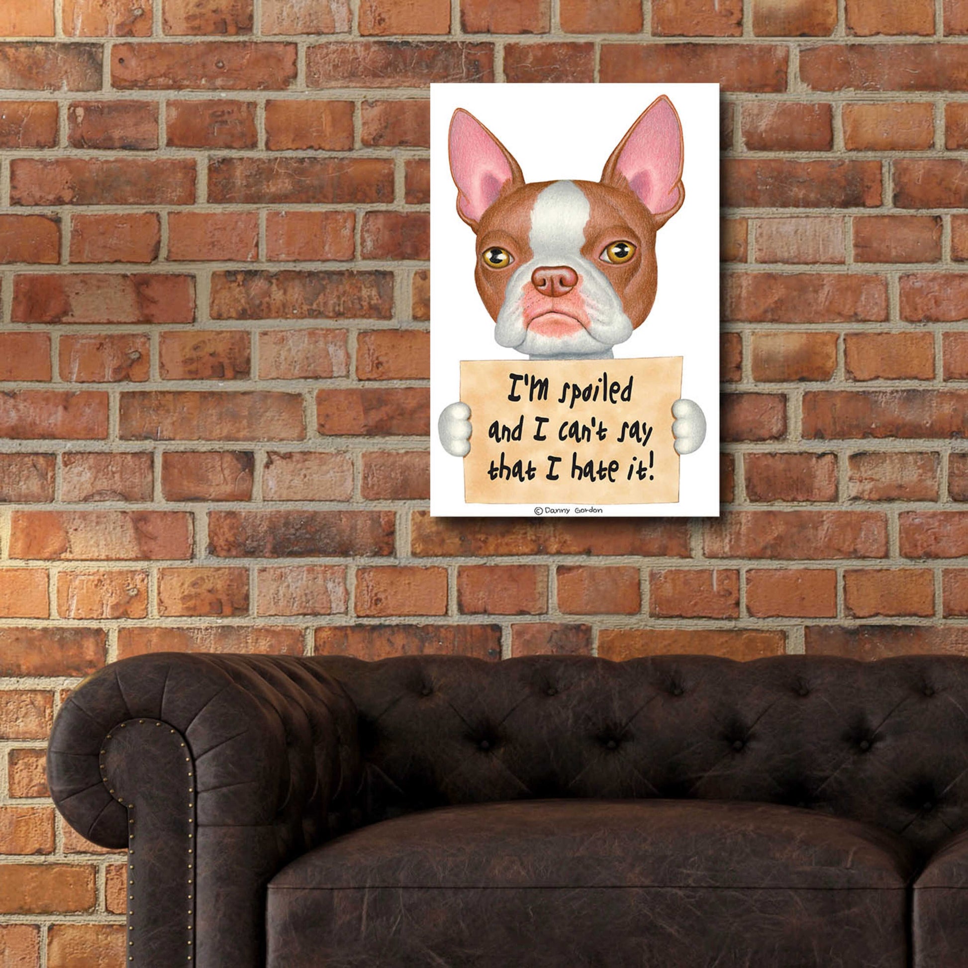 Epic Art 'Red Boston Terrier with Sign' by Danny Gordon Art, Acrylic Glass Wall Art,16x24