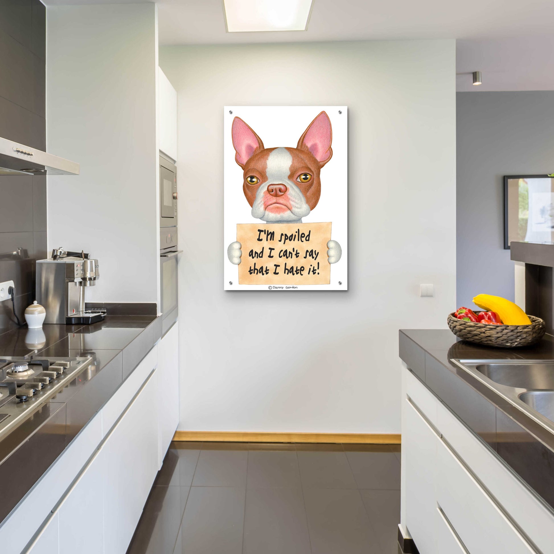 Epic Art 'Red Boston Terrier with Sign' by Danny Gordon Art, Acrylic Glass Wall Art,24x36