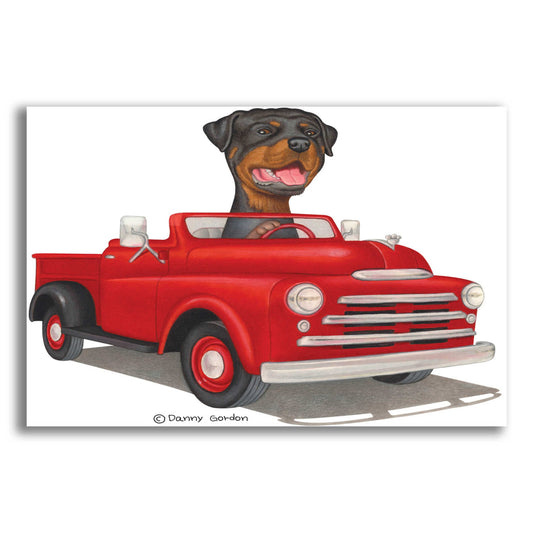 Epic Art 'Rottweiler in Red Truck' by Danny Gordon Art, Acrylic Glass Wall Art