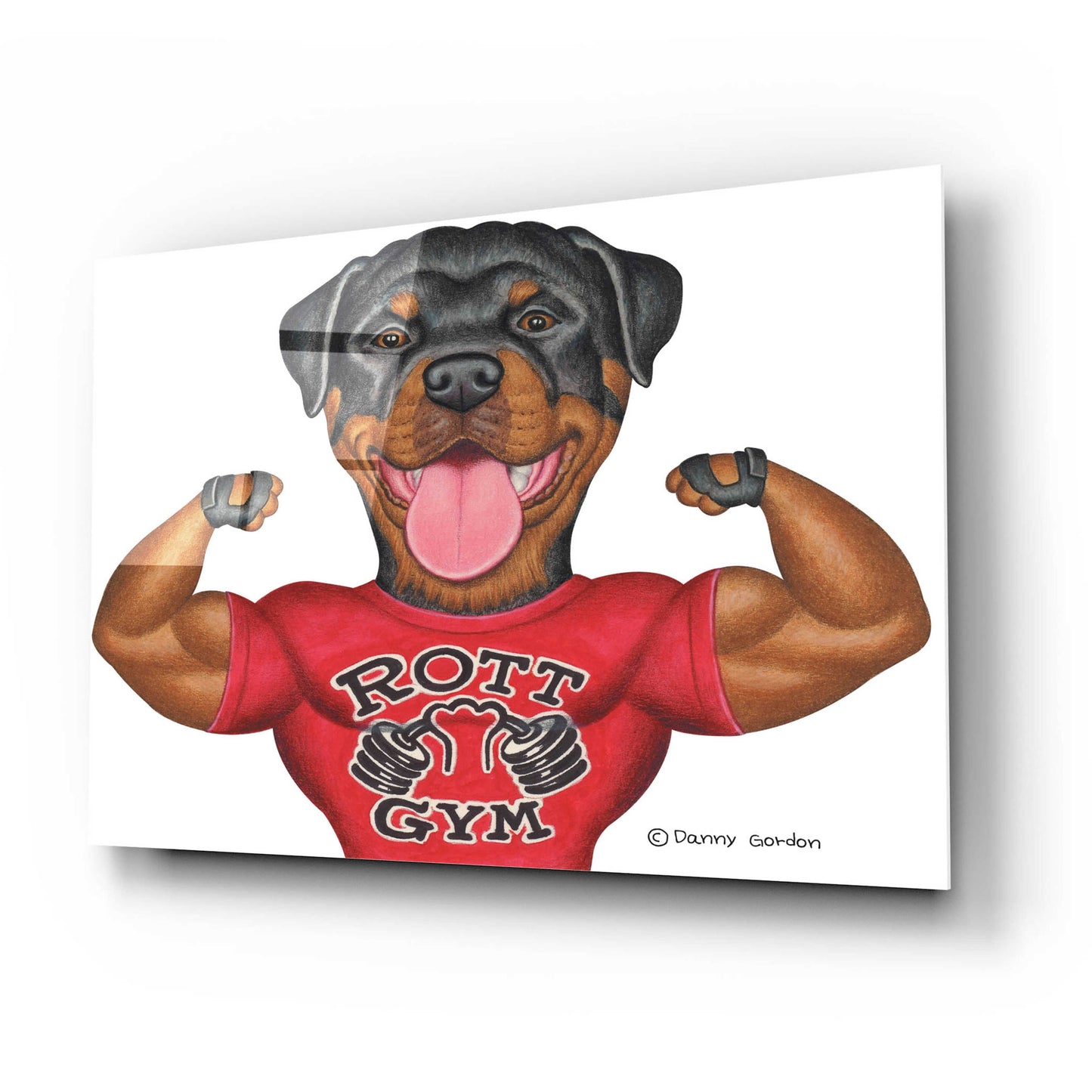 Epic Art 'Rottweiler Rott Gym' by Danny Gordon Art, Acrylic Glass Wall Art,24x16