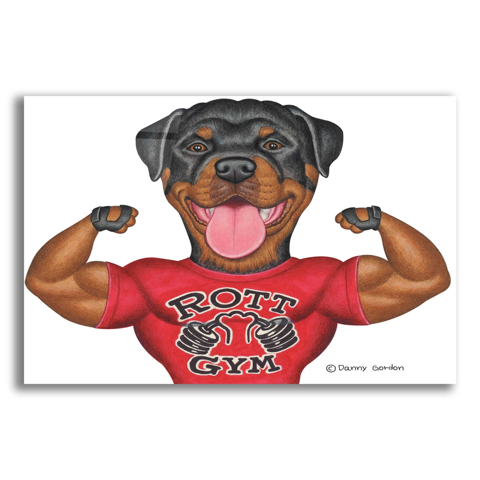 Epic Art 'Rottweiler Rott Gym' by Danny Gordon Art, Acrylic Glass Wall Art,24x16
