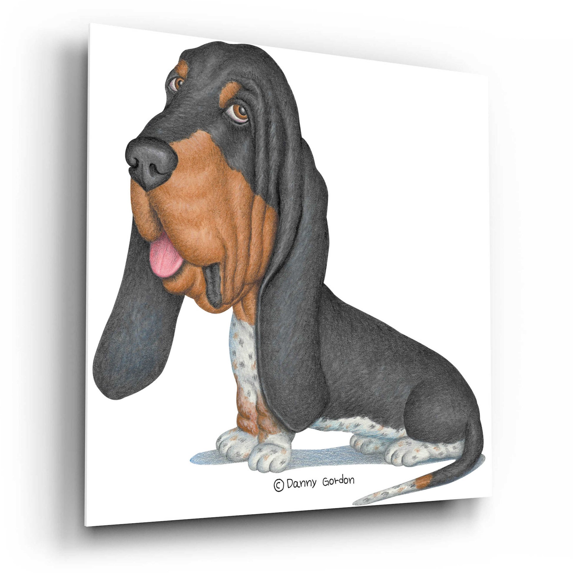 Epic Art 'Tri Color Basset Hound Sitting' by Danny Gordon Art, Acrylic Glass Wall Art,12x12