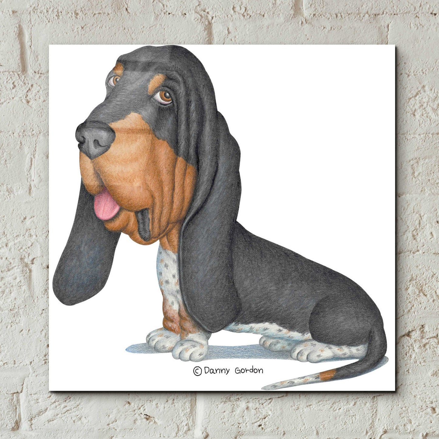 Epic Art 'Tri Color Basset Hound Sitting' by Danny Gordon Art, Acrylic Glass Wall Art,12x12