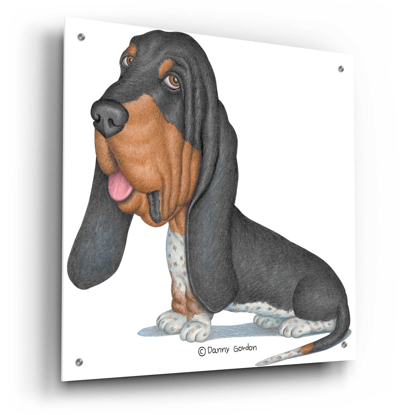 Epic Art 'Tri Color Basset Hound Sitting' by Danny Gordon Art, Acrylic Glass Wall Art,24x24