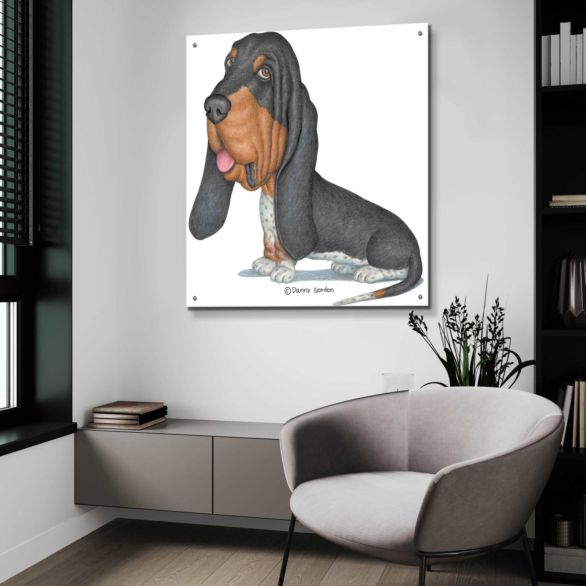 Epic Art 'Tri Color Basset Hound Sitting' by Danny Gordon Art, Acrylic Glass Wall Art,36x36