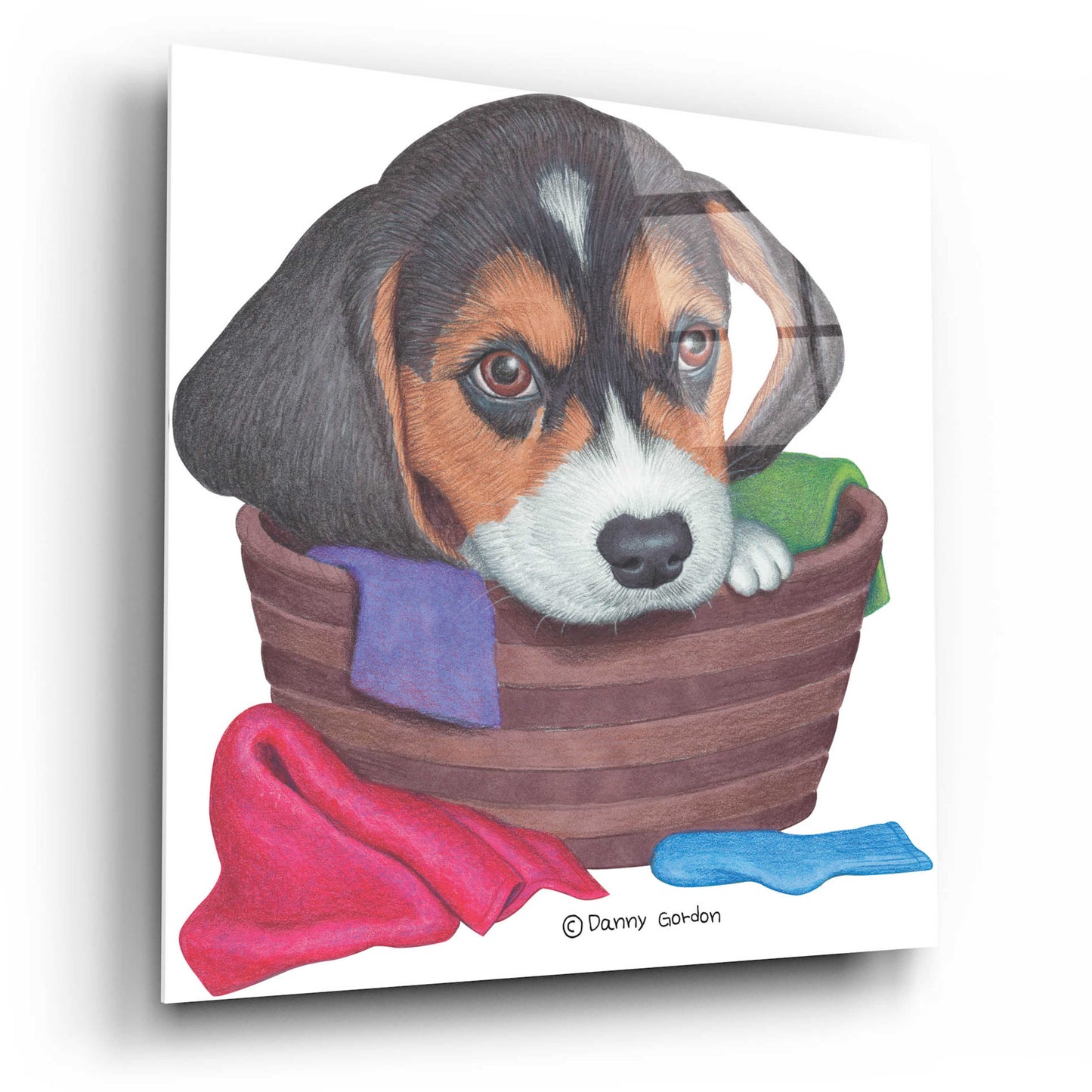 Epic Art 'Tri Color Beagle in Basket' by Danny Gordon Art, Acrylic Glass Wall Art,12x12